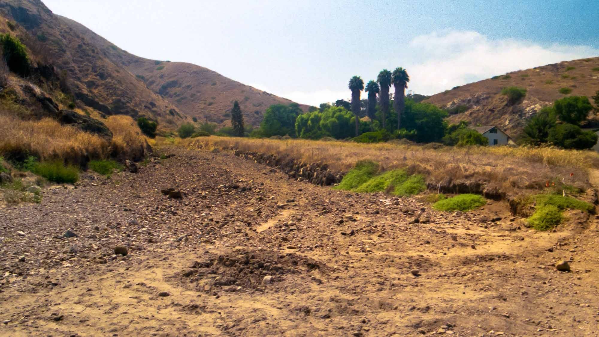 Santa Cruz Island in California.