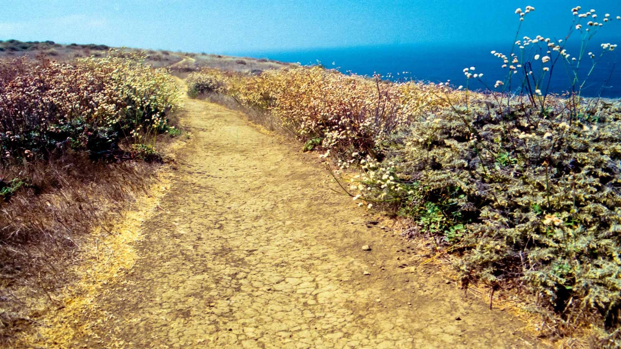 Santa Cruz Island in California.