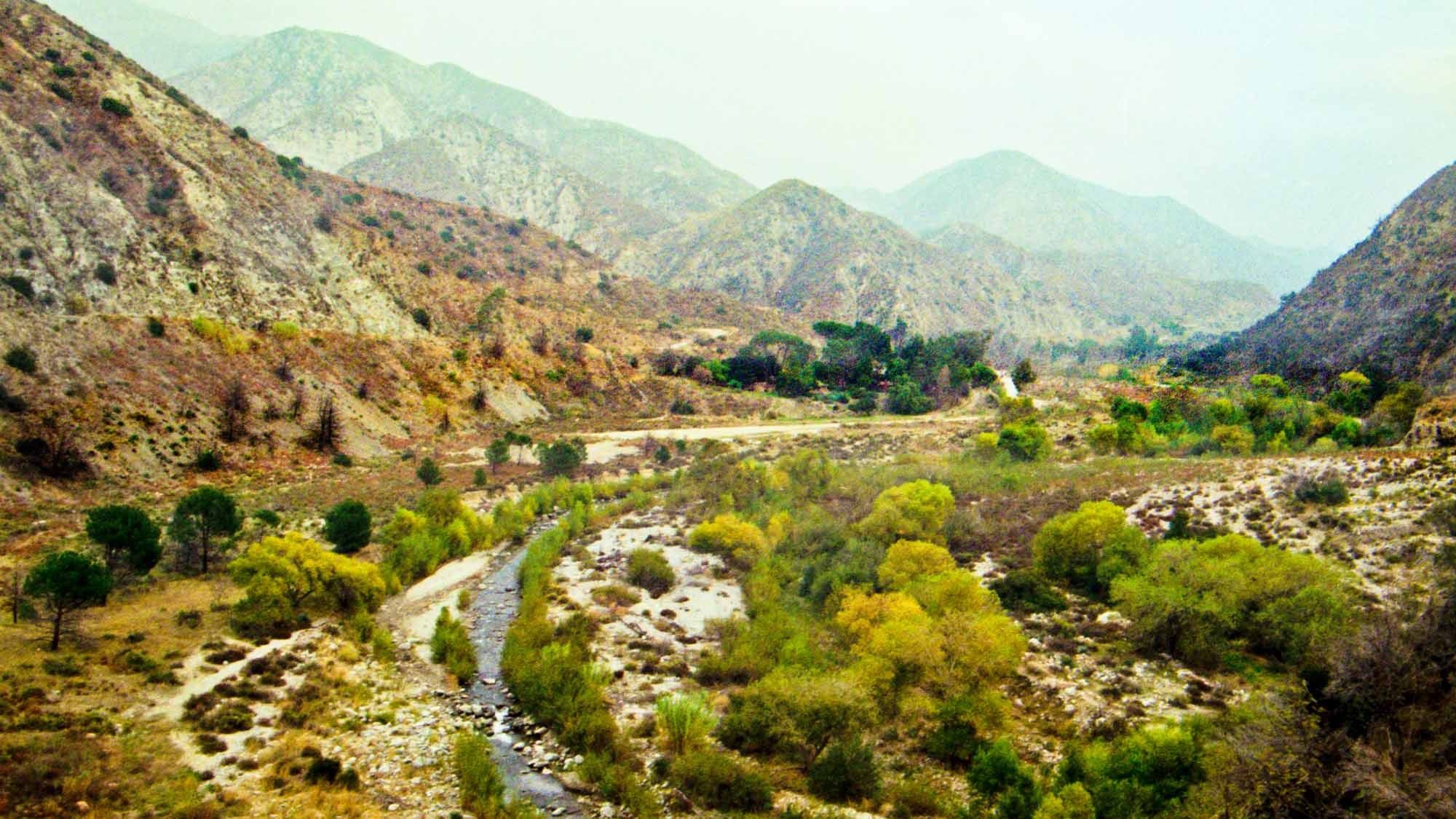 Angeles National Forest in Los Angeles, California.