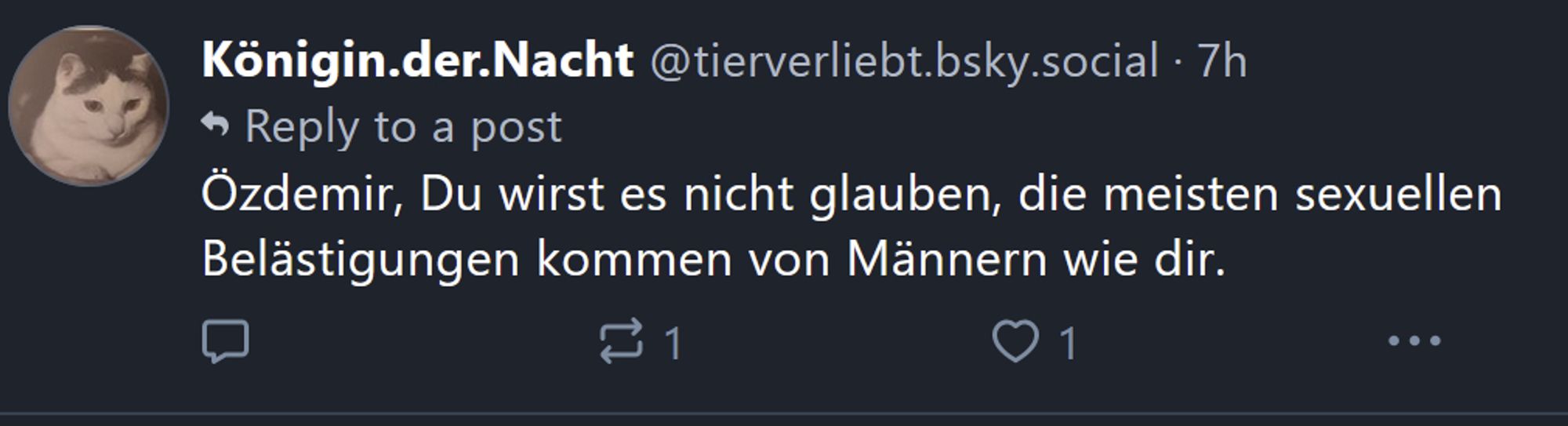 Post: "Özdemir, Du wirst es nicht glauben, die meisten sexuellen Belästigungen kommen von Männern wie Dir."