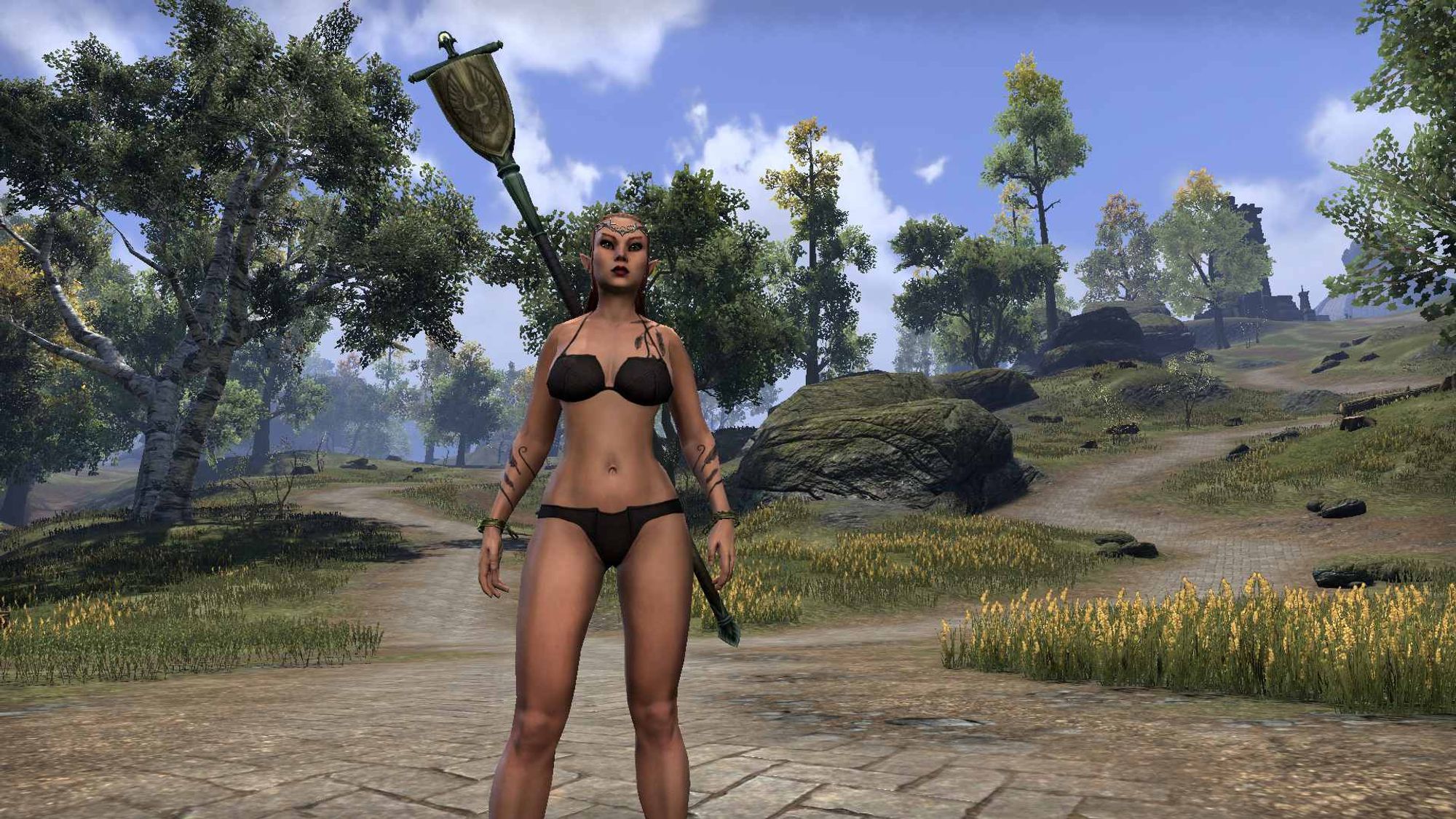 An elven character under a bright daytime sky, with trees all around, grass in the fields, with meandering stone-paved walkways, where this character stands. She's wearing nothing but black underwear, and across her back is slung a staff bearing a heraldic banner. Though her kind is already aligned with the Dominion, she serves them proudly.