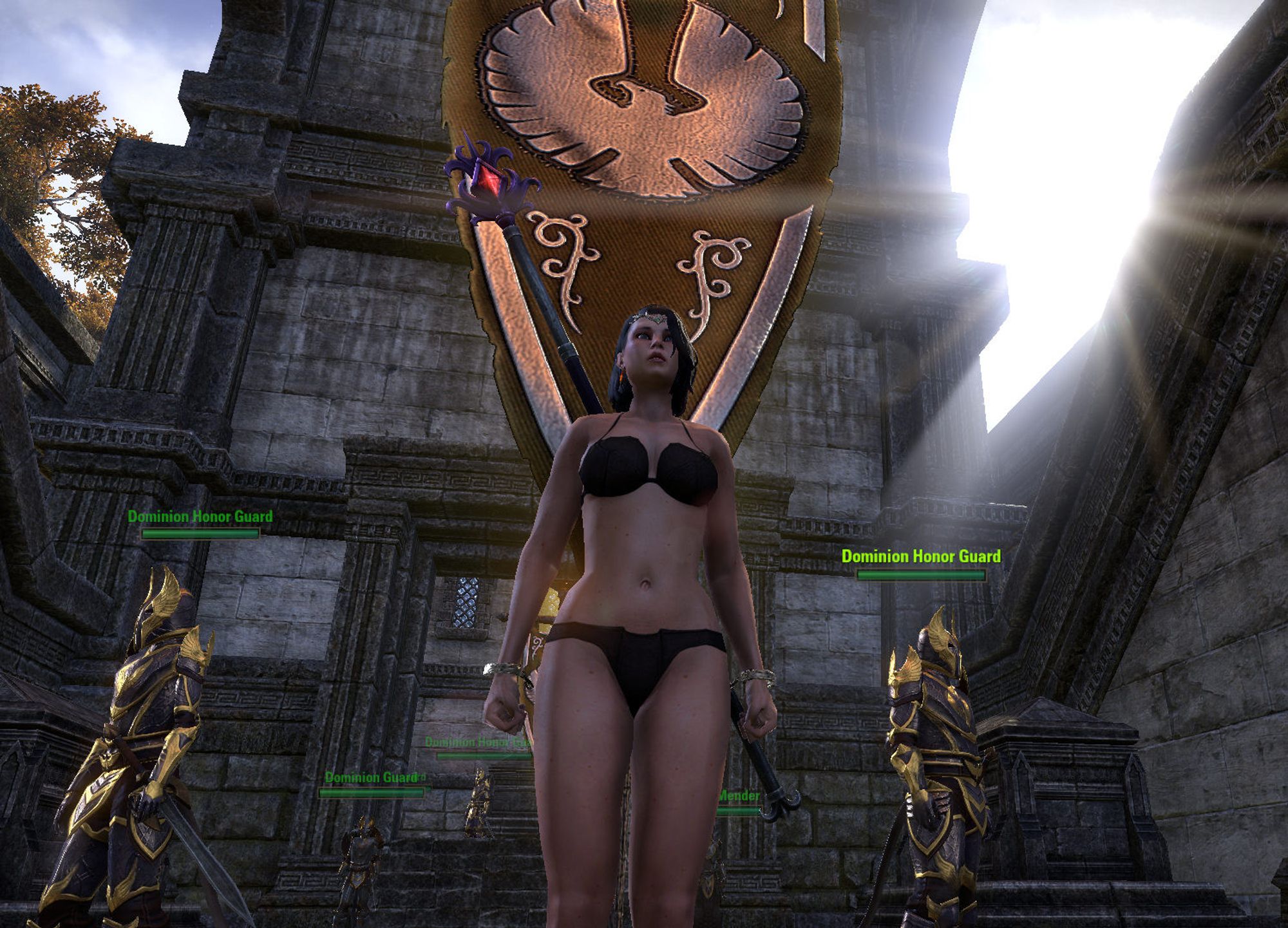 Within stony castle walls, a woman stands before a banner, proud in her bearing yet clad only in black underwear, in contrast to various guards standing watch nearby clad in gleaming armor. The banner is that of the Aldmeri Dominion, over which the High Elves rule: what other place is there for a human woman among them than as a servant?