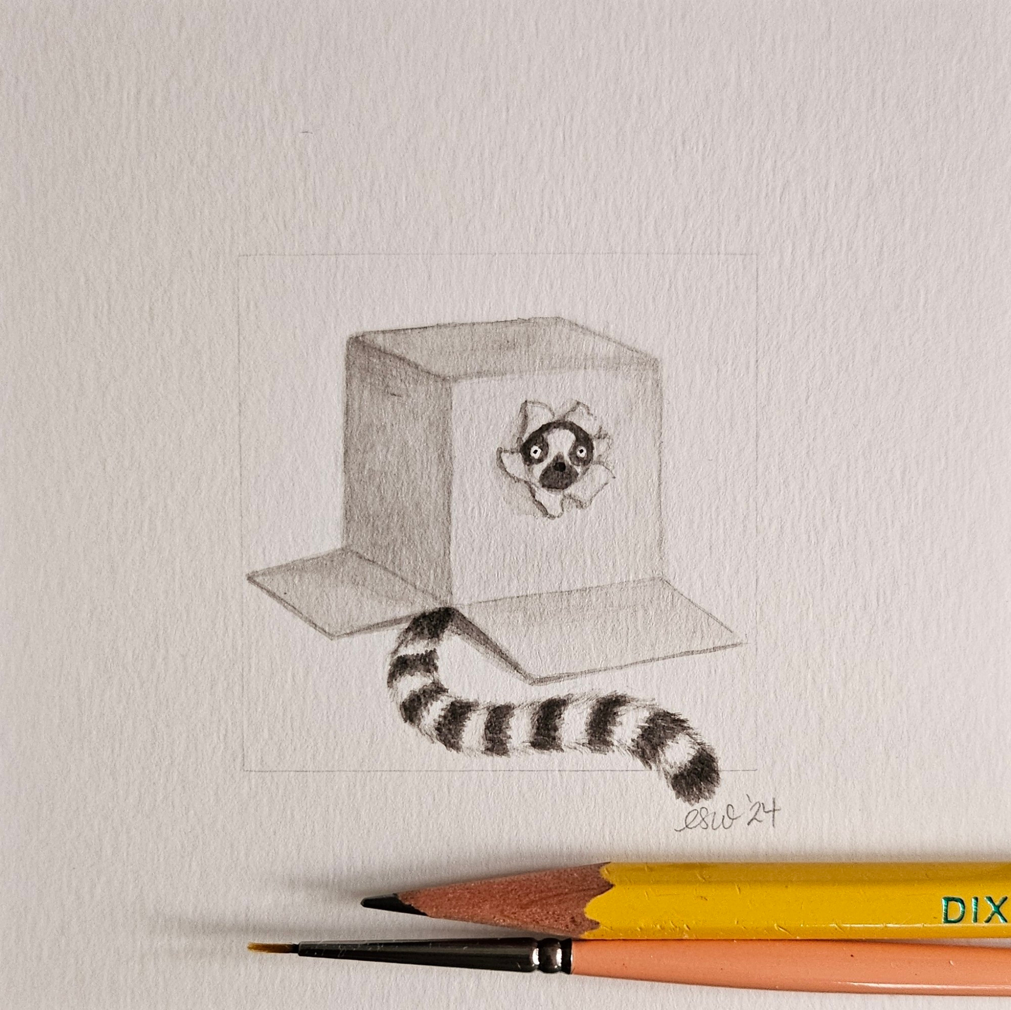 Small black and white ink painting of an upturned box with a lemur tail sticking out from under it and a lemurs face poking out of a hole in the box