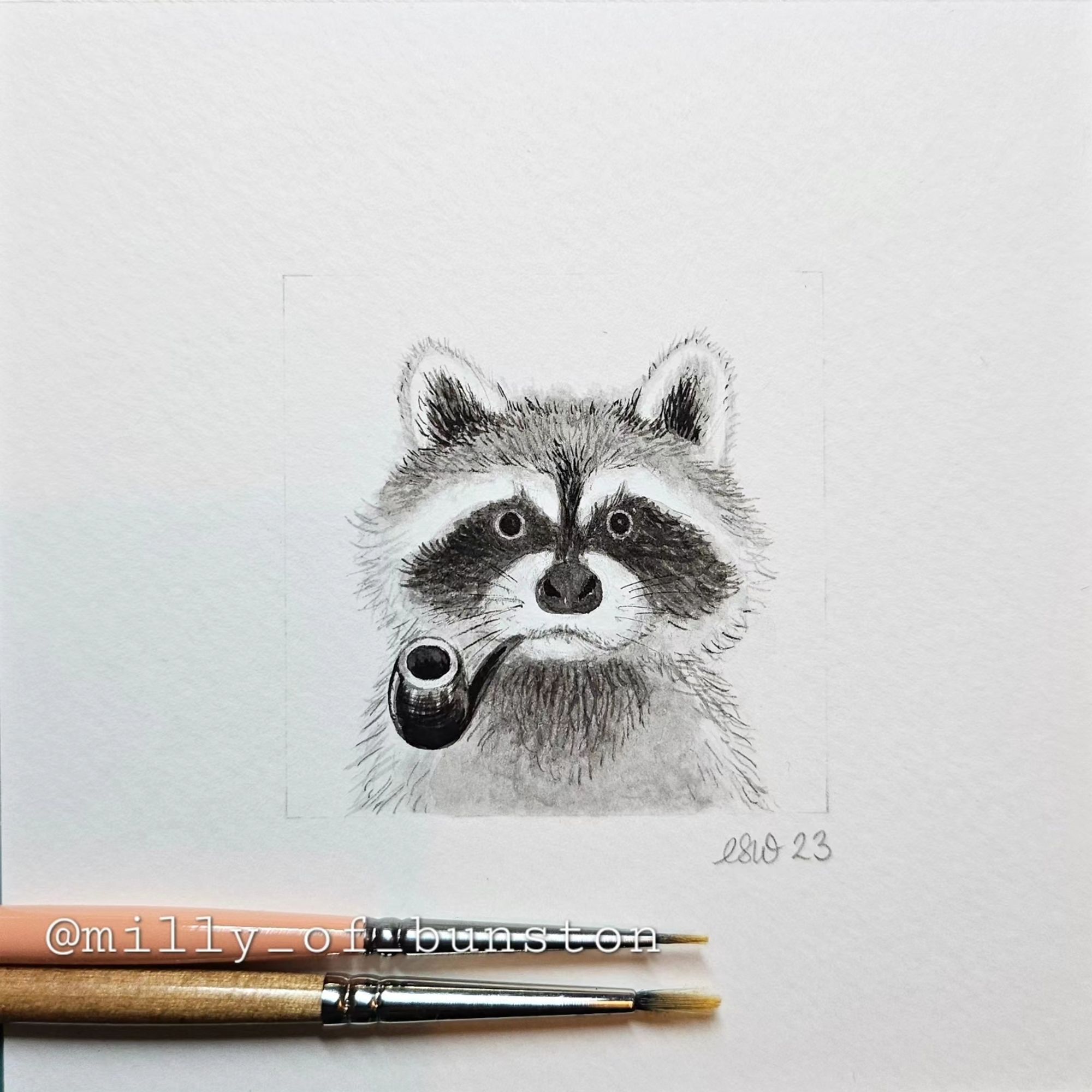 Ink painting of a raccoon with a pipe in his mouth looking very stern.