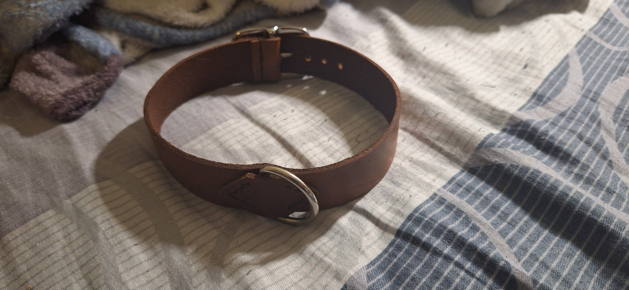 Brown and Silver collar front