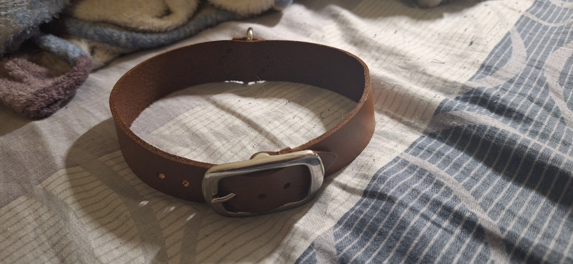 Brown and Silver collar buckle