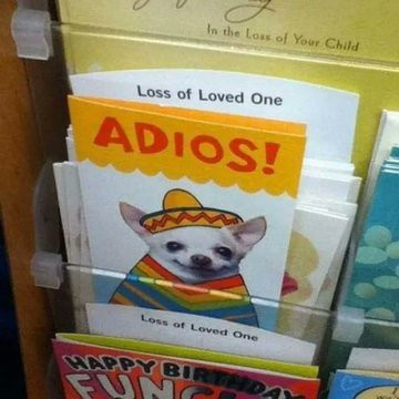 Loss of Loved One card - A Chihuahua in a poncho and a sombrero, saying Adios!