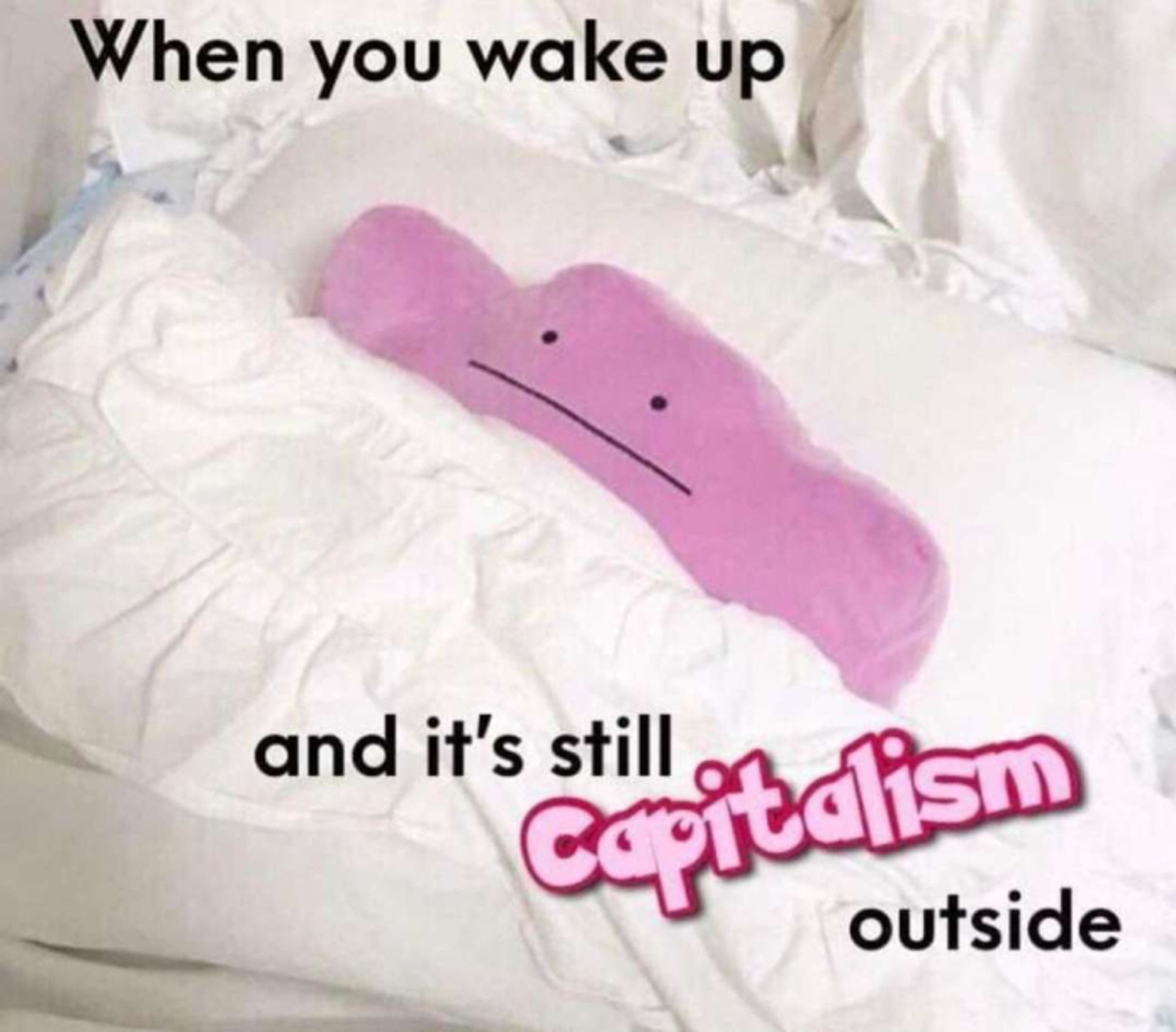 Ditto the Pokemon looking dejected in a bed

"When you wake up and it's still capitalism outside"

Capitalism is written in pink Pokemon font.