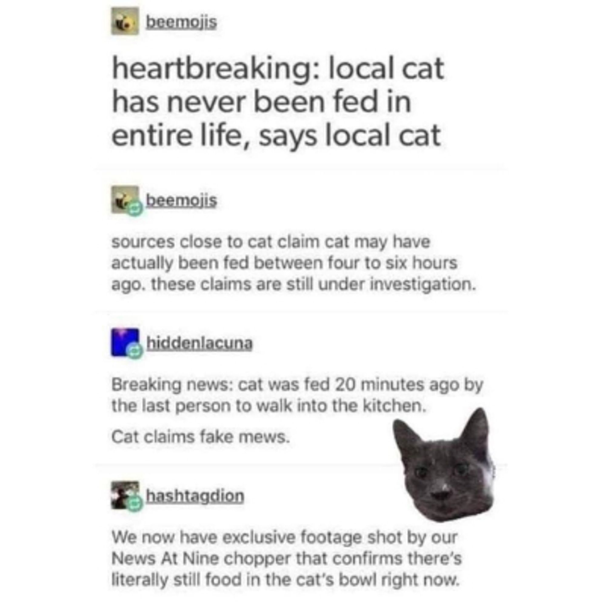 beemojis

heartbreaking: local cat
has never been fed in
entire life, says local cat

beemojis

sources close to cat claim cat may have
actually been fed between four to six hours
ago. these claims are still under investigation.

hiddenlacuna

Breaking news: cat was fed 20 minutes ago by
the last person to walk into the kitchen.
Cat claims fake mews.

hashtagdion

We now have exclusive footage shot by our News At Nine chopper that confirms there's literally still food in the cat's bowl right now.