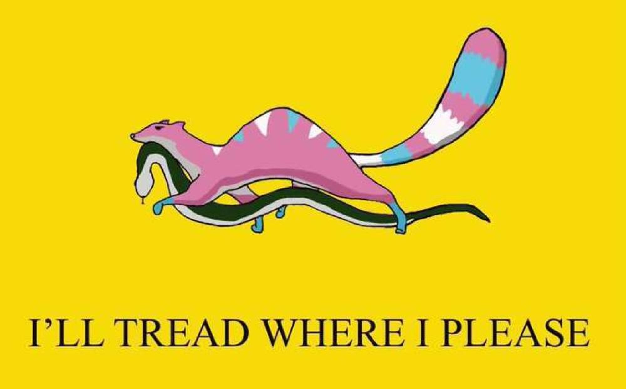 A Gadsden flag where the snake is caught by a Mongoose in trans flag colors. Text reads " I'll tread where I please"