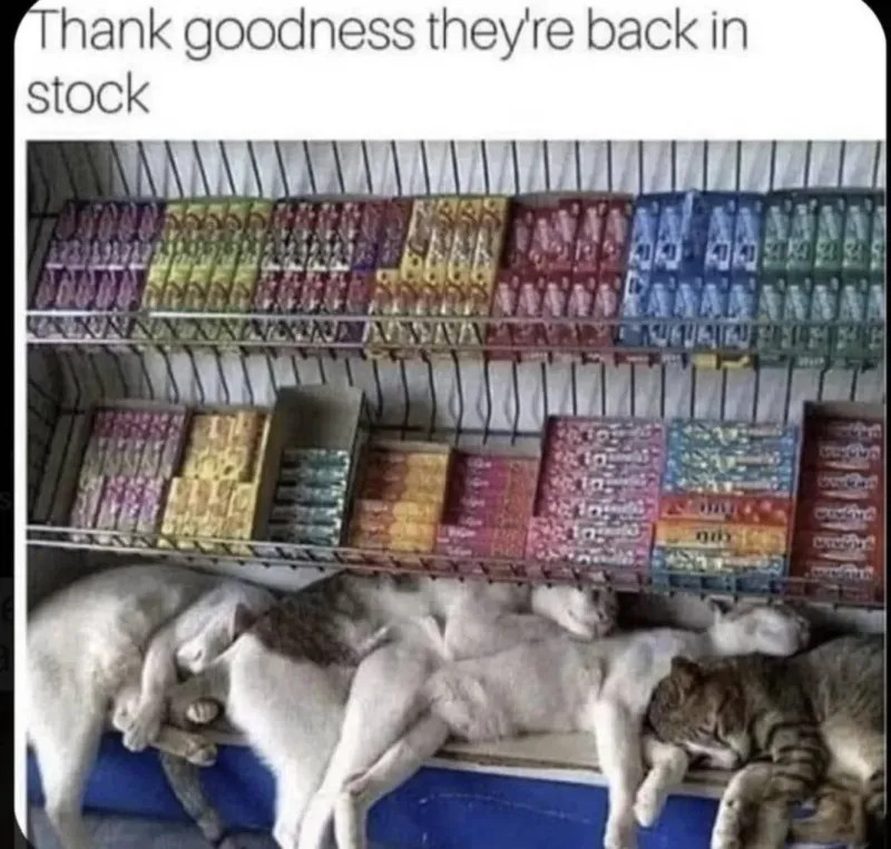 "Thank goodness they're back in stock"

Image of a whole shelf of (at least four) cats in the impulse buy section of a convenience store.