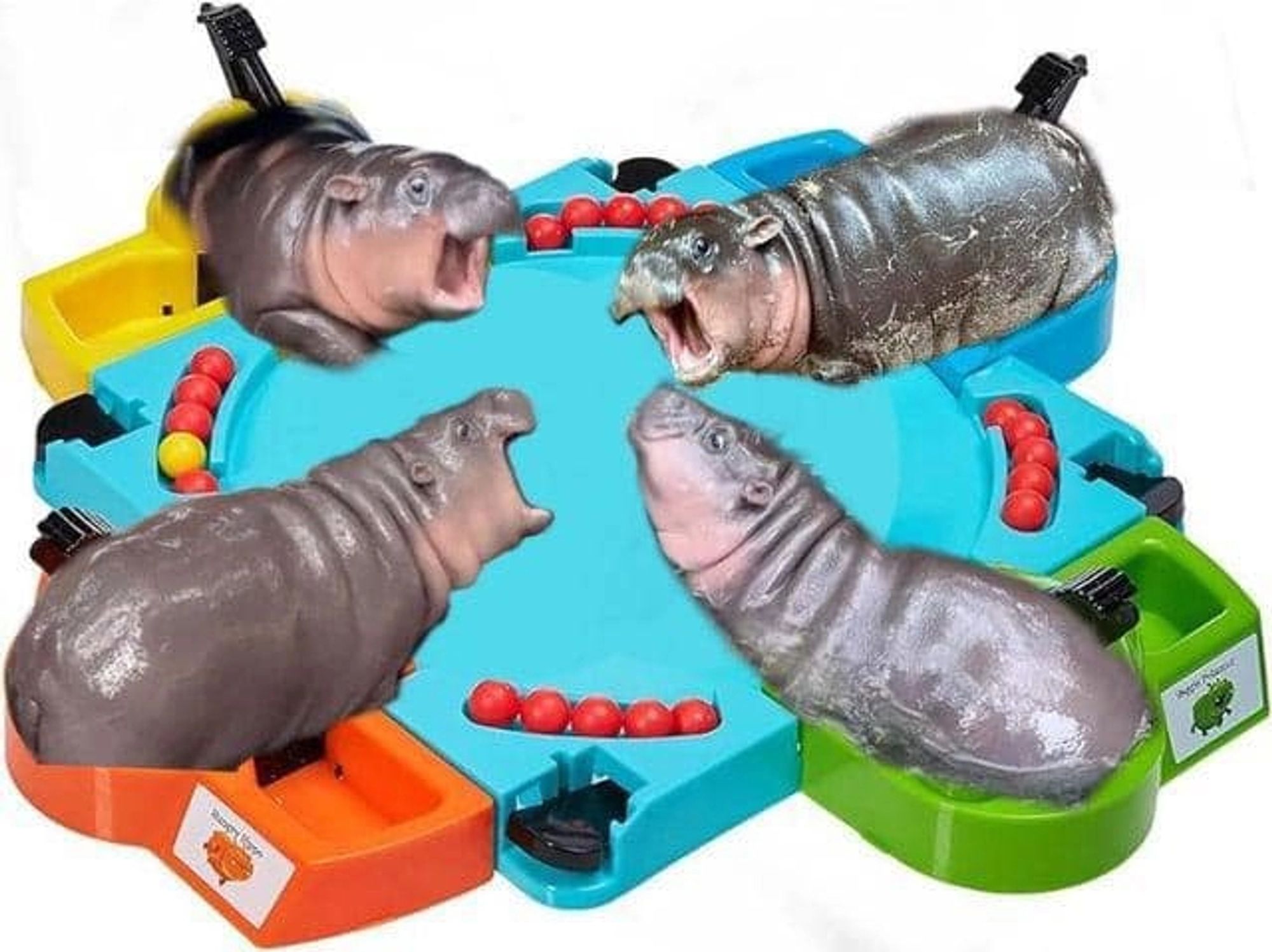 hungry hungry hippos but it's Moo Deng