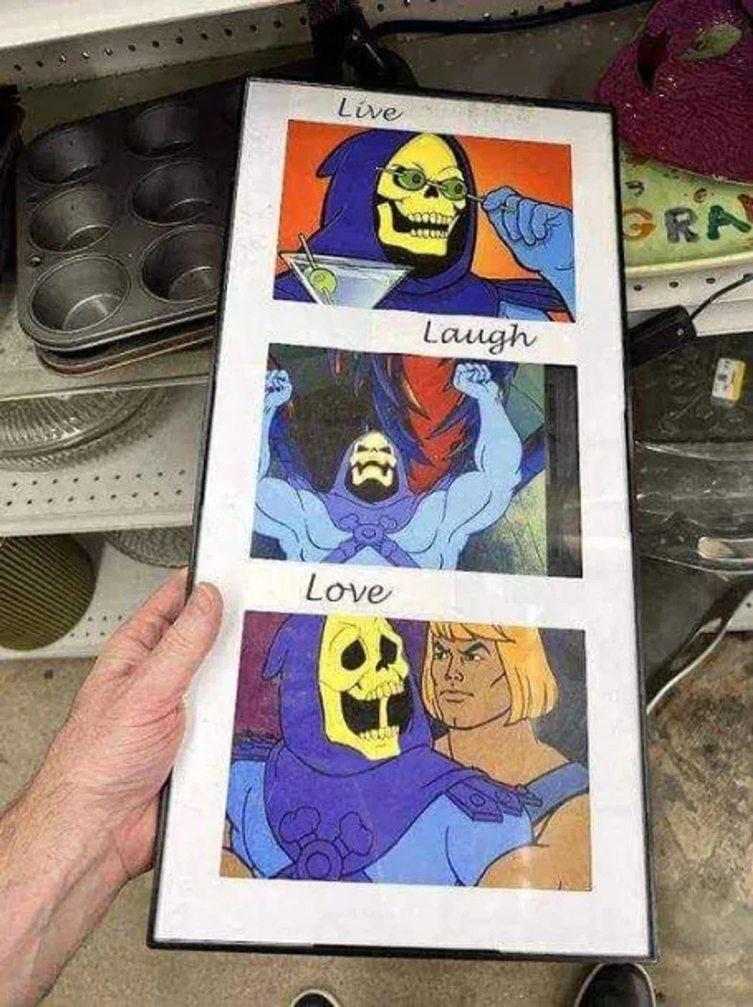 A live laugh love sign, but with images of skeletor depicting each word.
Live: Skeletor has a martini and is holding a toothpick with two olives in front of his eyes like they're glasses.
Laugh: Skeletor waving his arms in the air.
Love: Skeletor looks pleasantly surprised at He-Man hugging him from behind