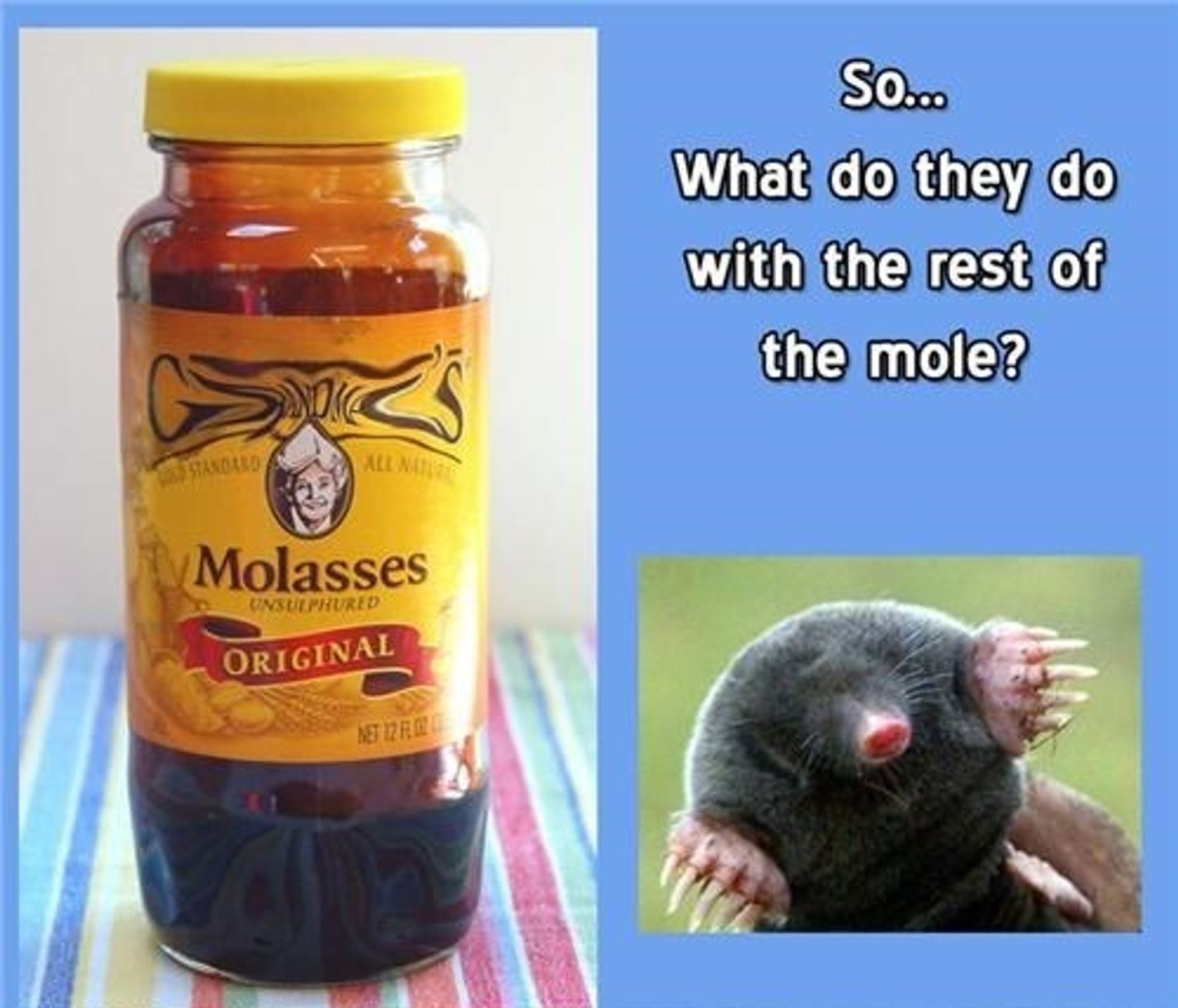 A facebook-ass meme:
Image of a jar of molasses, image of a mole, it kinda looks like the mole is speaking: "So... What do they do with the rest of the mole?"