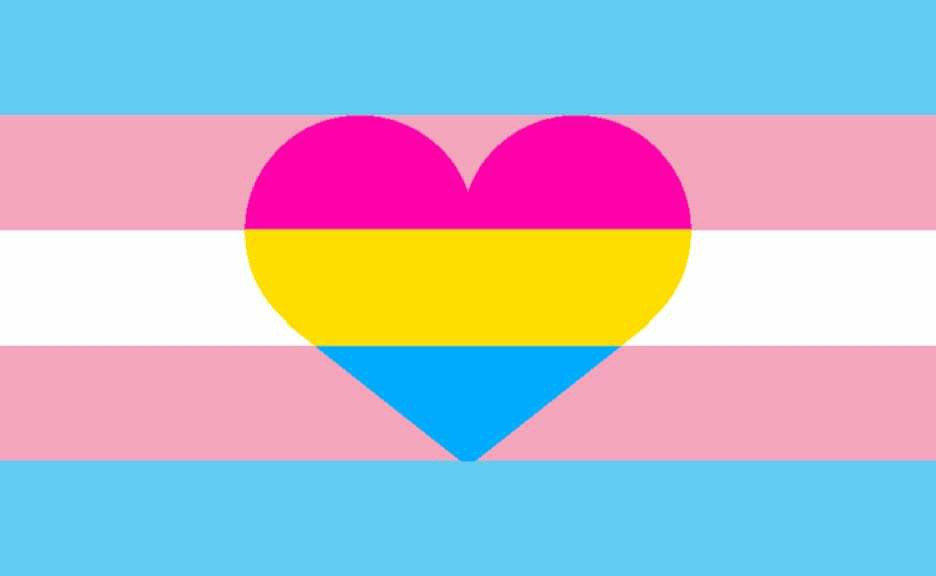 Pan flag heart inside a trans flag