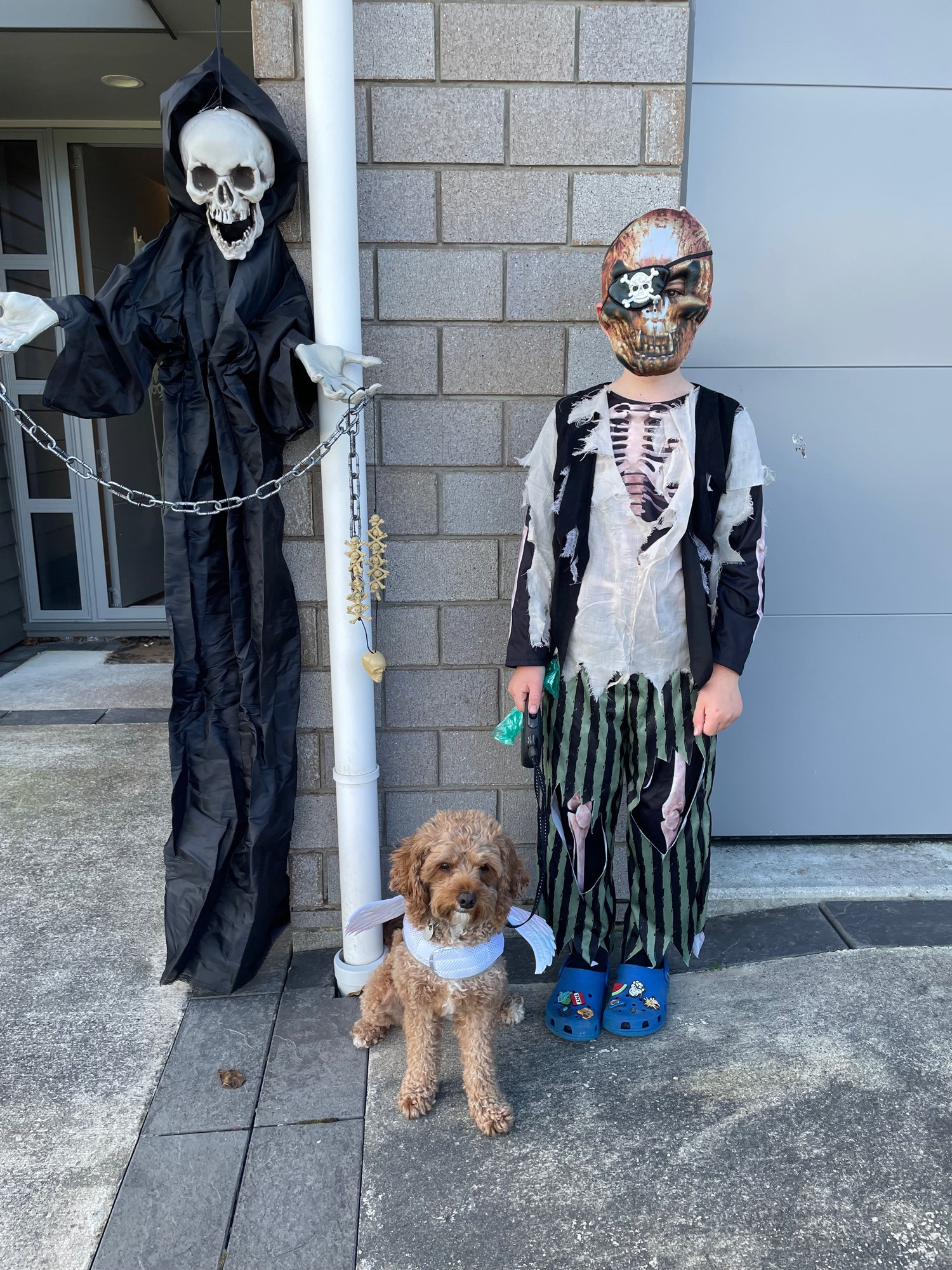 Kid in pirate zombie costume holding a cavoodle dog leash, dog has angel wings on. They are standing beside a flying zombie skeleton