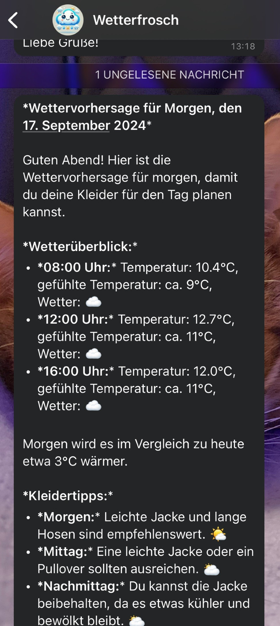 WhatsApp Nachricht mit Kleidertipps und Wettervorhersage speziell für Kinder. z.B. Am Morgen: Leichte Jacke und lange Hosen sind empfehlenswert. Und so sachen wie: Morgen wird es im Vergleich zu heute etwa 3 Grad wärmer