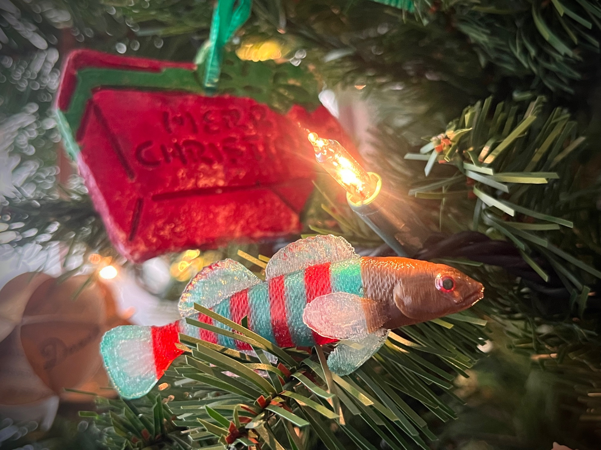 Darter fish Christmas ornament.