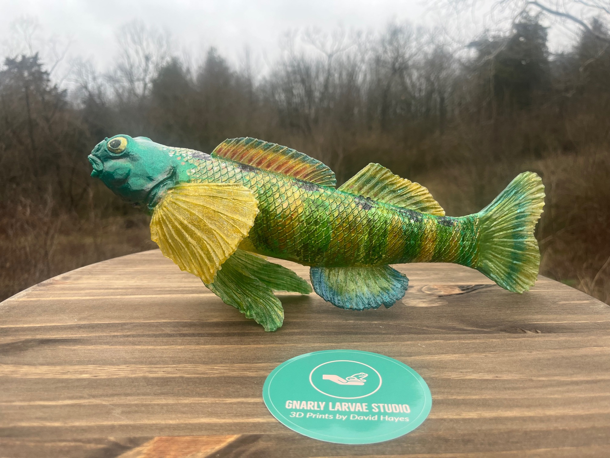 3D Printed Greenside Darter.