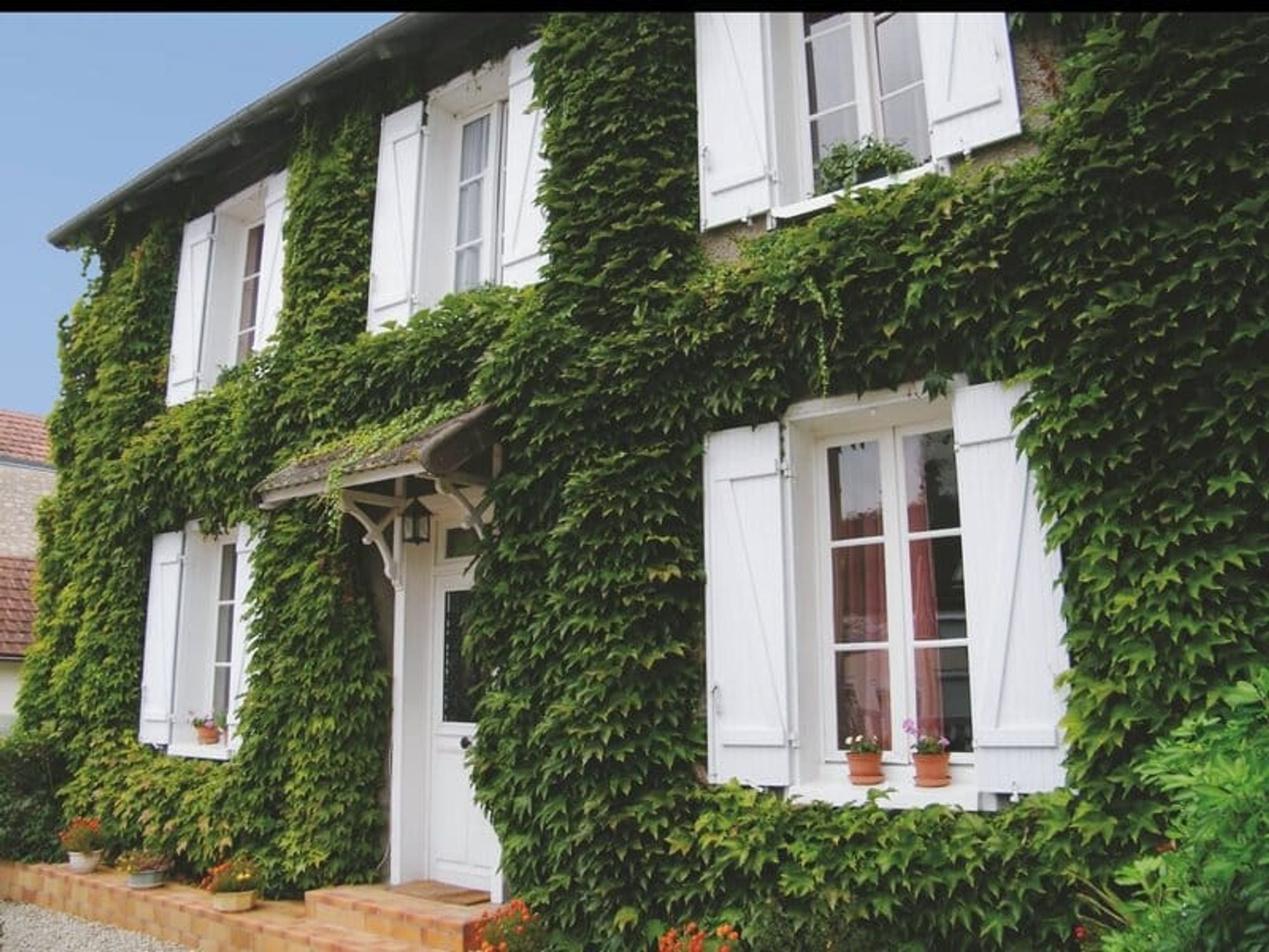 Straw house lime plastered covered in wild wine.