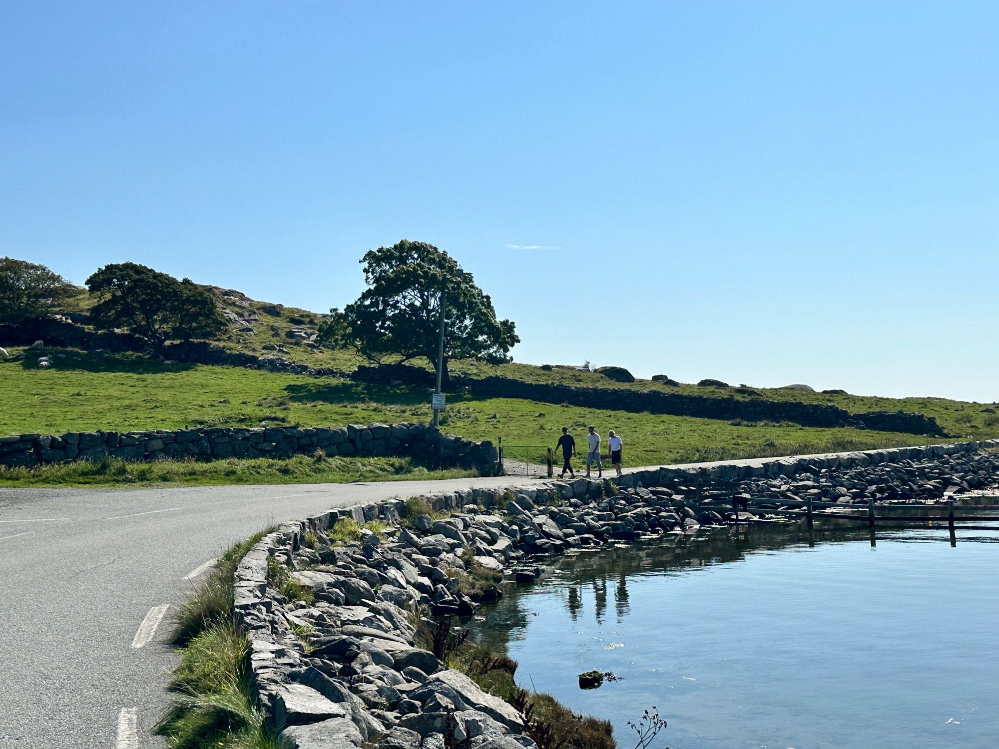 Walk and talk session on Utstein. Three people walking along a road by the water.