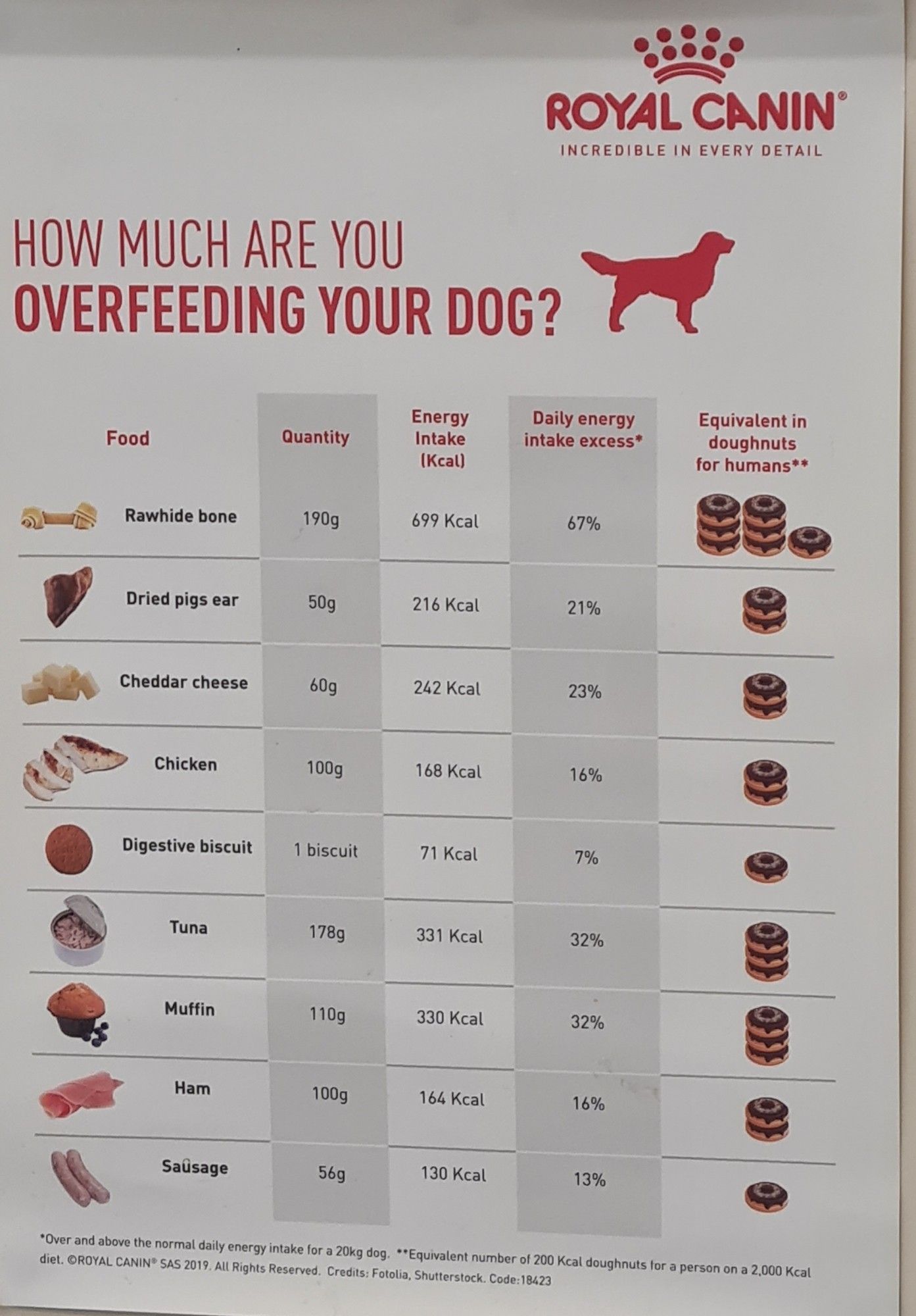 A poster titled "how much are you overfeeding your dog?". Food stuffs go from rawhide bone at the top  the equivalent of 7 doughnuts for humans to a sausage at the bottom which is the equivalent of one doughnut