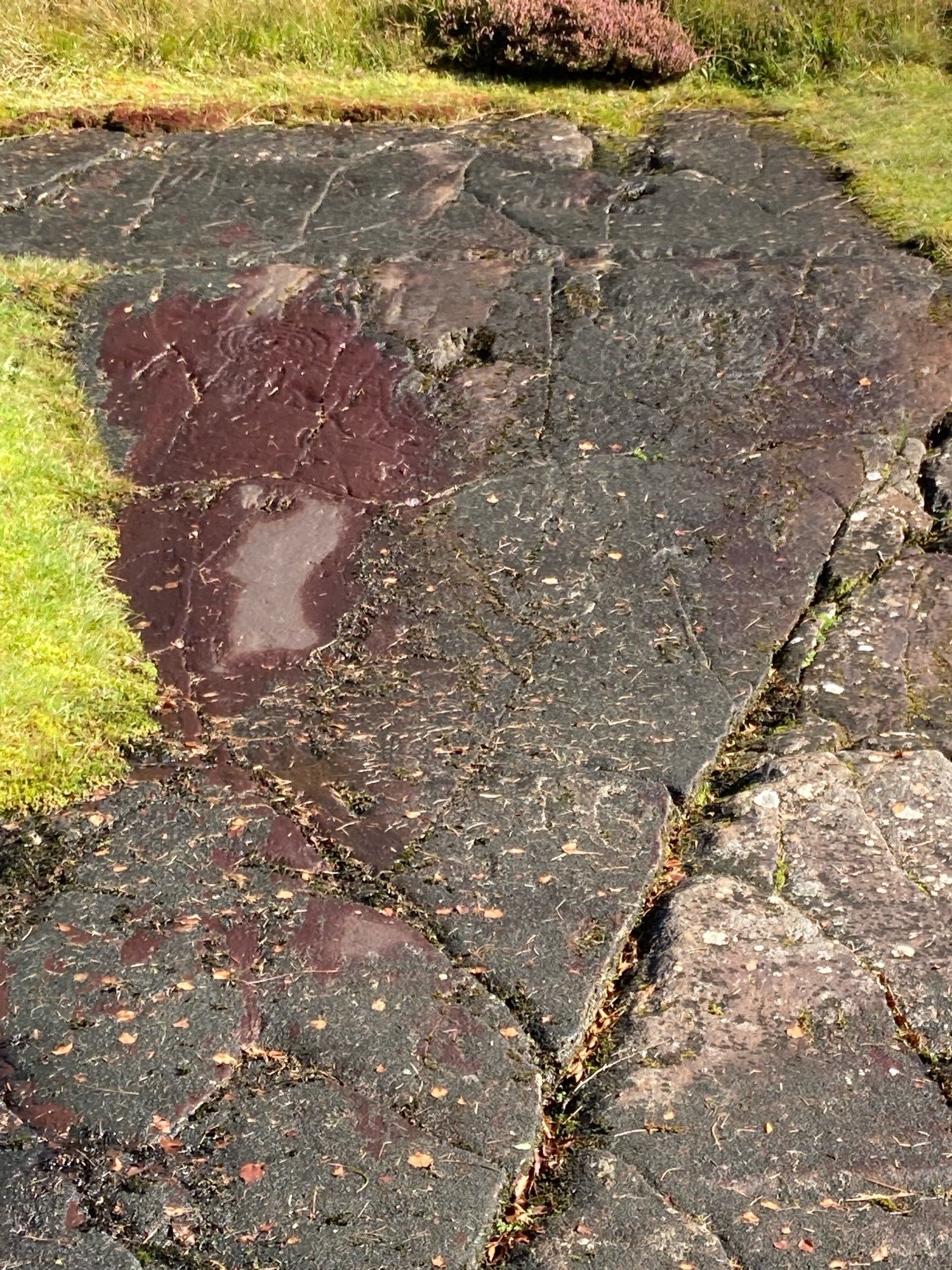 Scottish ancient monument site to protect different carvings into rock.