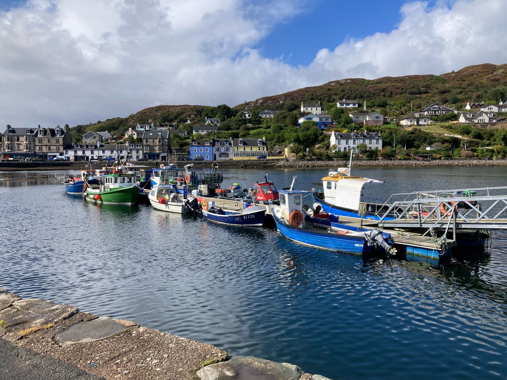 Small fishing boats tied up with harbour front and village in background.