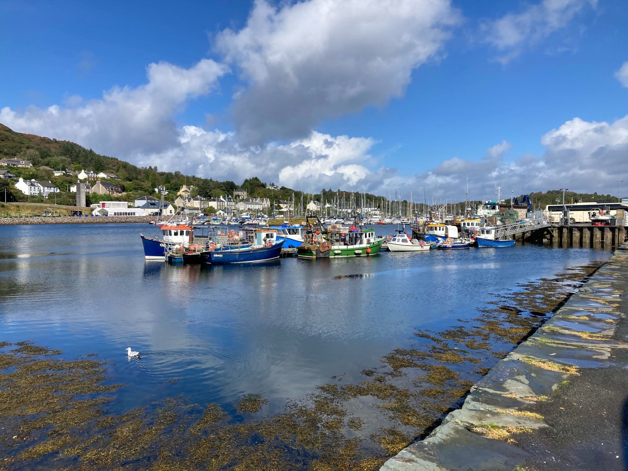 Small fishing boats tied up on mobile pier with lots of masted leisure boats in the background. Blue sky with white and grey clouds.