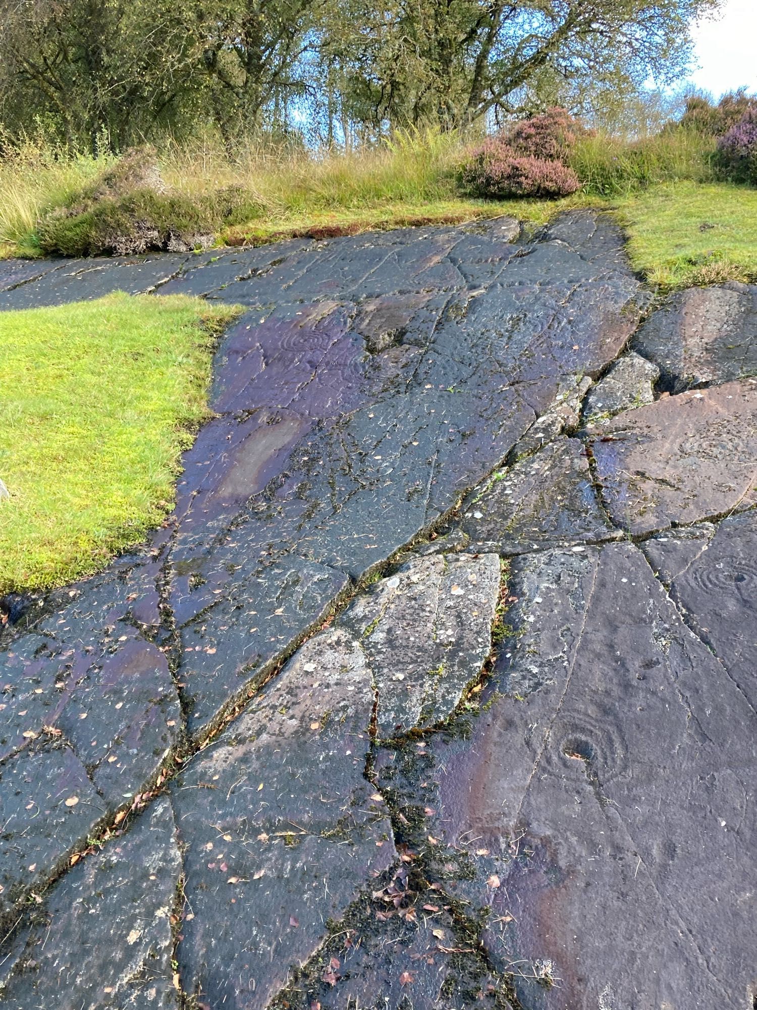 Patterns including spirals and cup marks carved into rock outcrops.