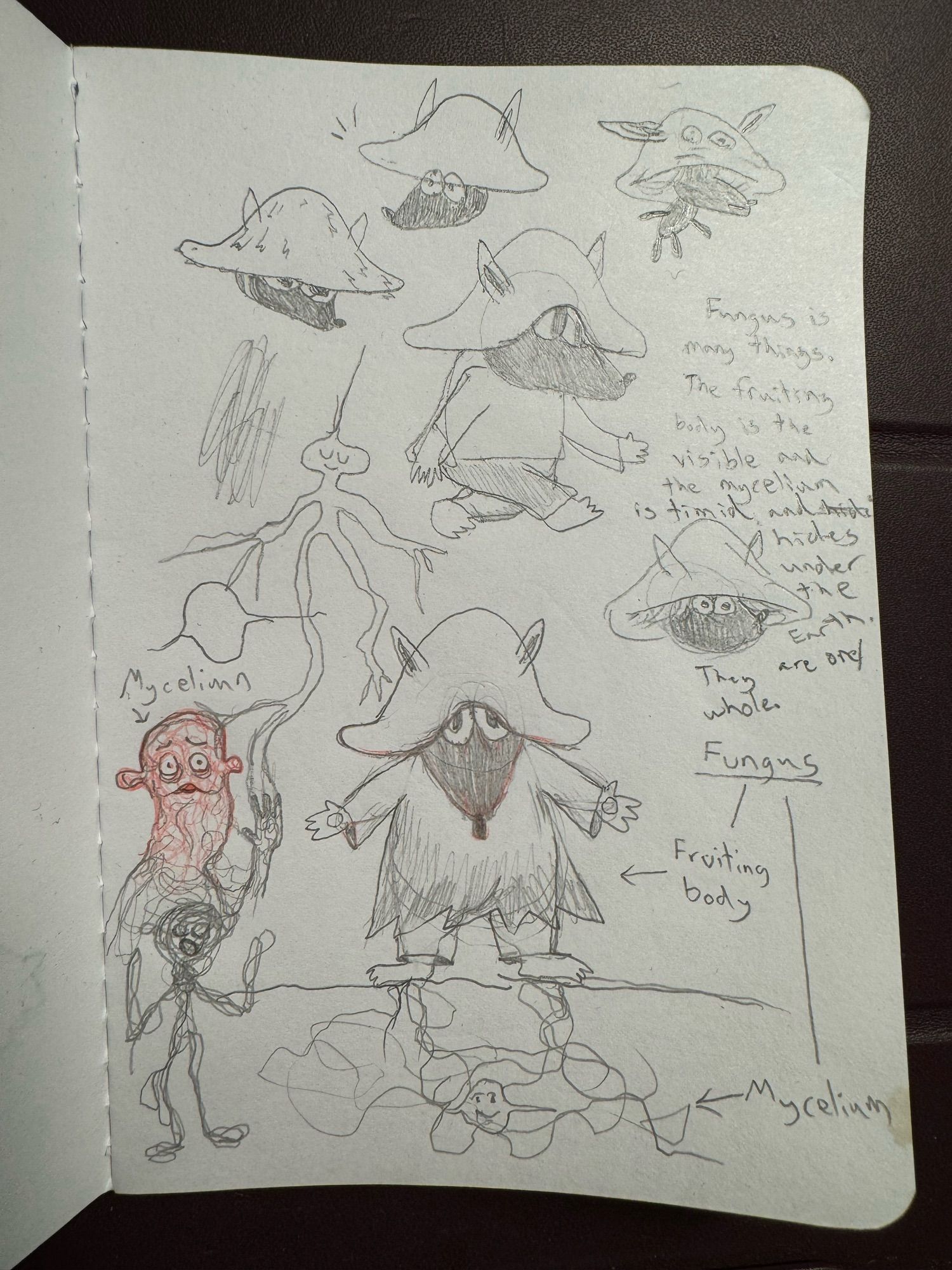 Pencil sketches. More ideas/brainstorming for my fursona(!!) Fungus. They are a short and stout rodent-like critter with a mushroom cap head with large eyes and a face/muzzle hidden in shadow. This aspect of Fungus is the ‘fruiting body’. A few other sketches around the bottom left is the ‘mycelium’ of Fungus: a critter who is more human-figure like (but can also be amorphous) made up of spaghetti-like strands. Words that I wrote too fast on the right side of the page: “Fungus is many things. The fruiting body is the visible [and curious] and the mycelium is timid and hides under the earth. They are one/whole”. Fungus is still a work in progress.