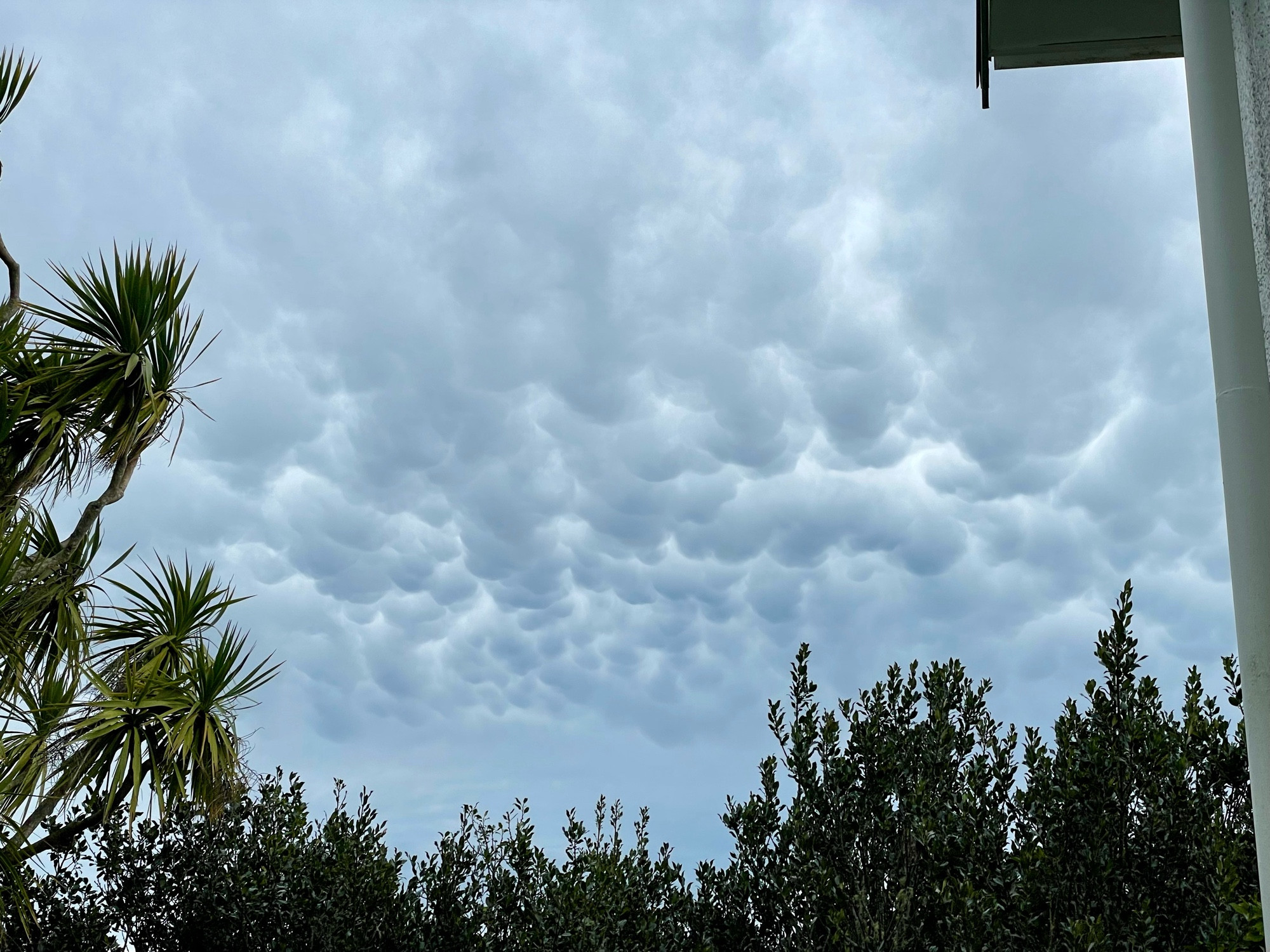 Moody sky with rather rare mammatus clouds!