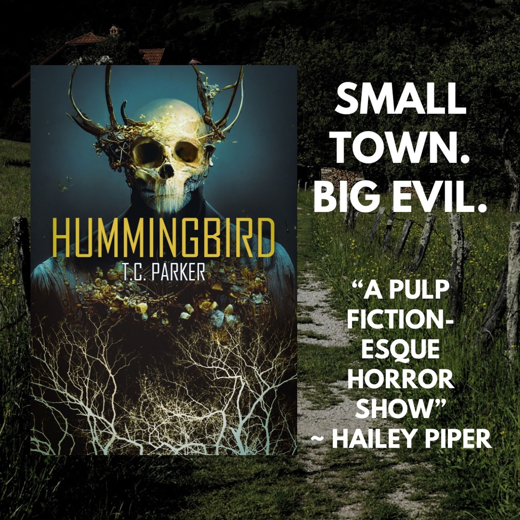 Promo for (the novel) Hummingbird by TC Parker 

Book cover shows a skeletal human figure with antlers emerging from the skull and a body apparently made of tree roots

Promo reads:

Small Town. Big Evil.

Blurb reads: "A Pulp Fiction-esque horror show" - Hailey Piper