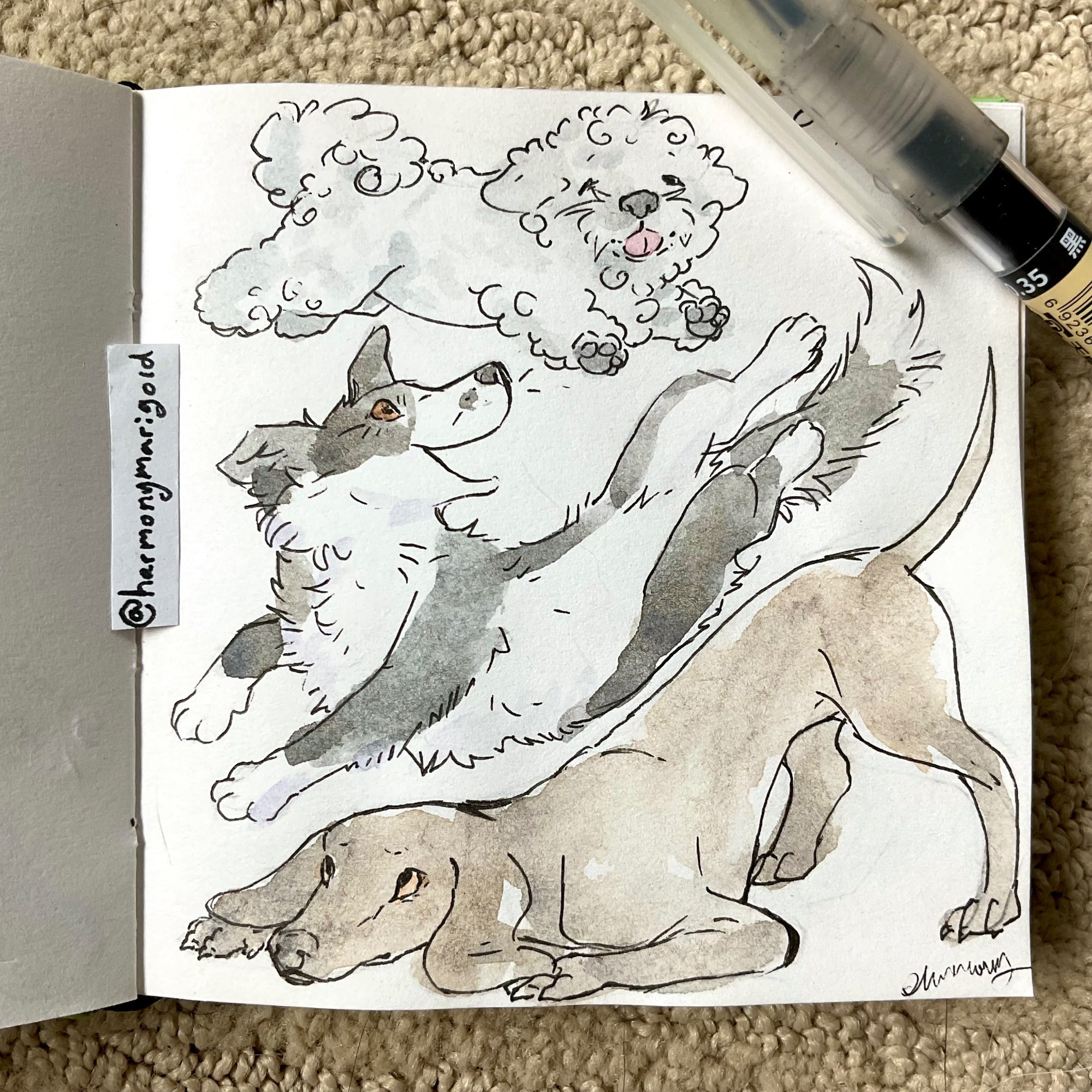 Little drawing of 3 dogs, a bichon frise, a border collie, and a weimaraner.