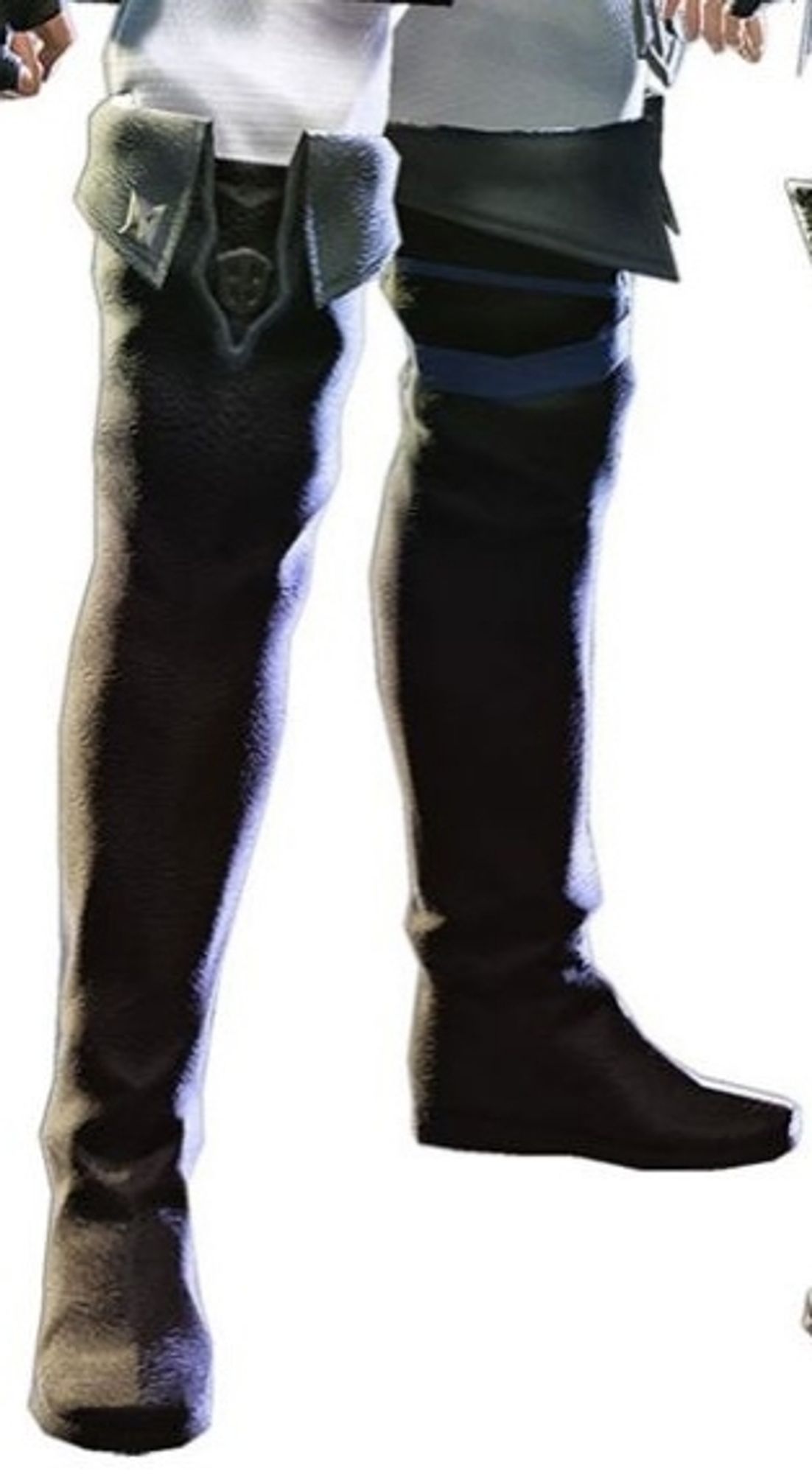 A crop of the male Midlander's thighboots