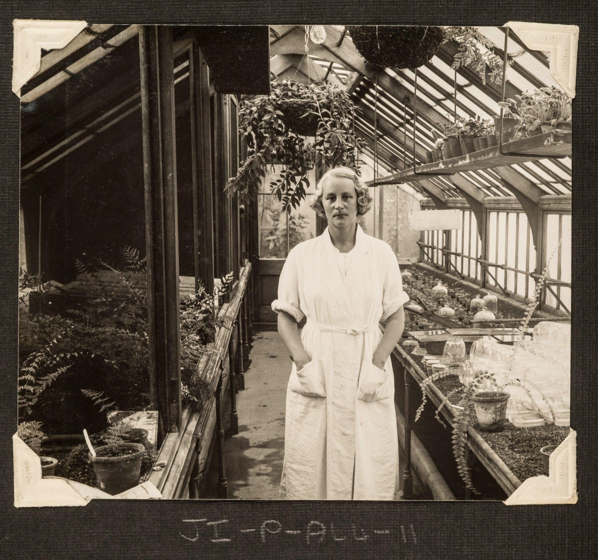 This is a black and white photo of a white woman standing in a greenhouse. She is wearing a long white work coat, and her hands are in her coat pockets. The greenhouse is filled with various plants, hanging baskets, and potted greenery.