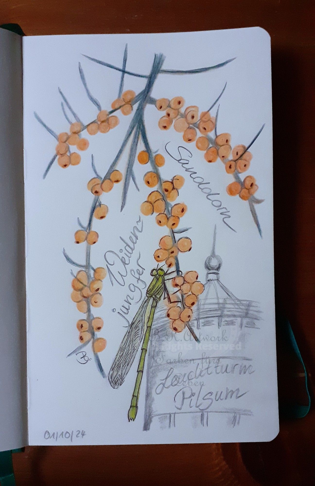 Sketchbook Seite, von oben ragt ein in vier Zweige aufgefächerter Sanddornzweig mit Beeren über die Seite. Daran hängt unten eine hellgrüne Libelle. Rechts unten im Hintergrund das obere Ende des Leuchtturms Pilsum mit Bleistift angedeutet.