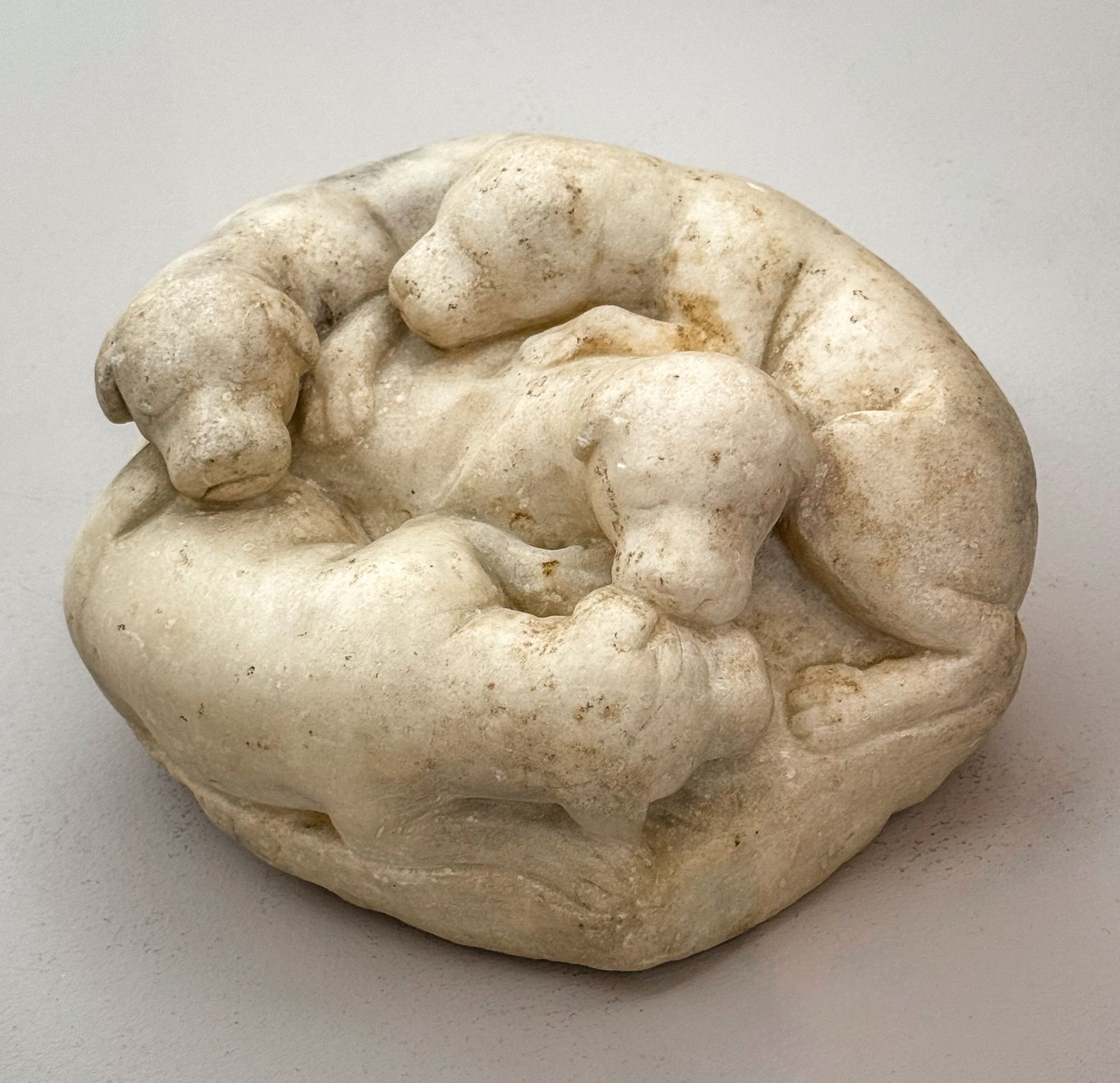 Four sleeping puppies, all in a pile. Broad snouts, chubby, small ears. Adorable. Rendered in marble, in a round shape - probably once painted.