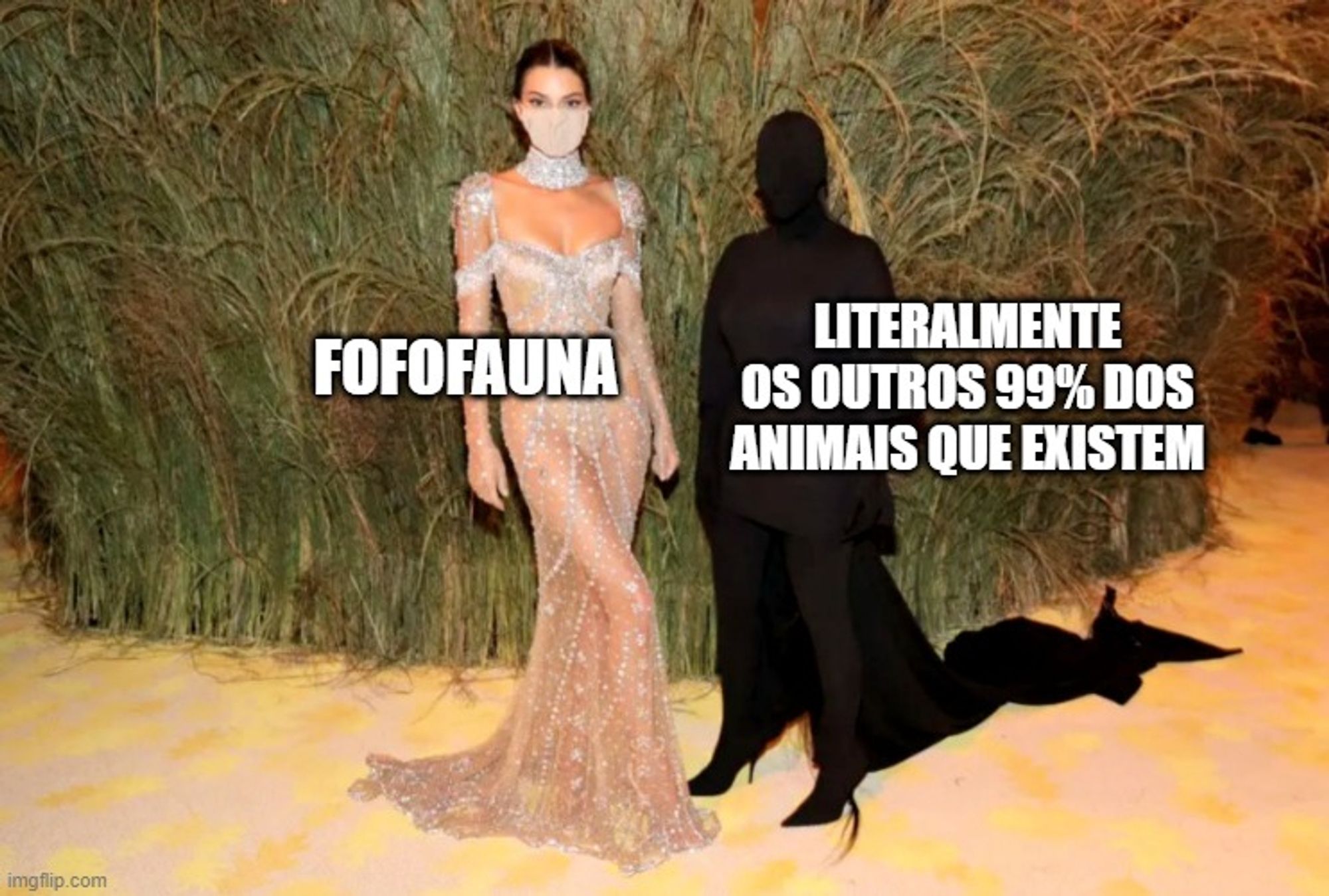 meme de kim kardashian e kendall jenner no met gala de 2021, onde kendall veste um belo vestido semi-transparente com detalhes brilhantes nos ombros, braços, busto e raias que vão até a base da peça; enquanto kim está completamente coberta com peças pretas que cobrem seu corpo por completo incluindo o rosto, parecendo uma sombra de kendall posando ao seu lado. 

na legenda do meme, sobre kendall lê-se: "fofofauna"; sobre kim lê-se: "literalmente os outros 99% dos animais que existem"