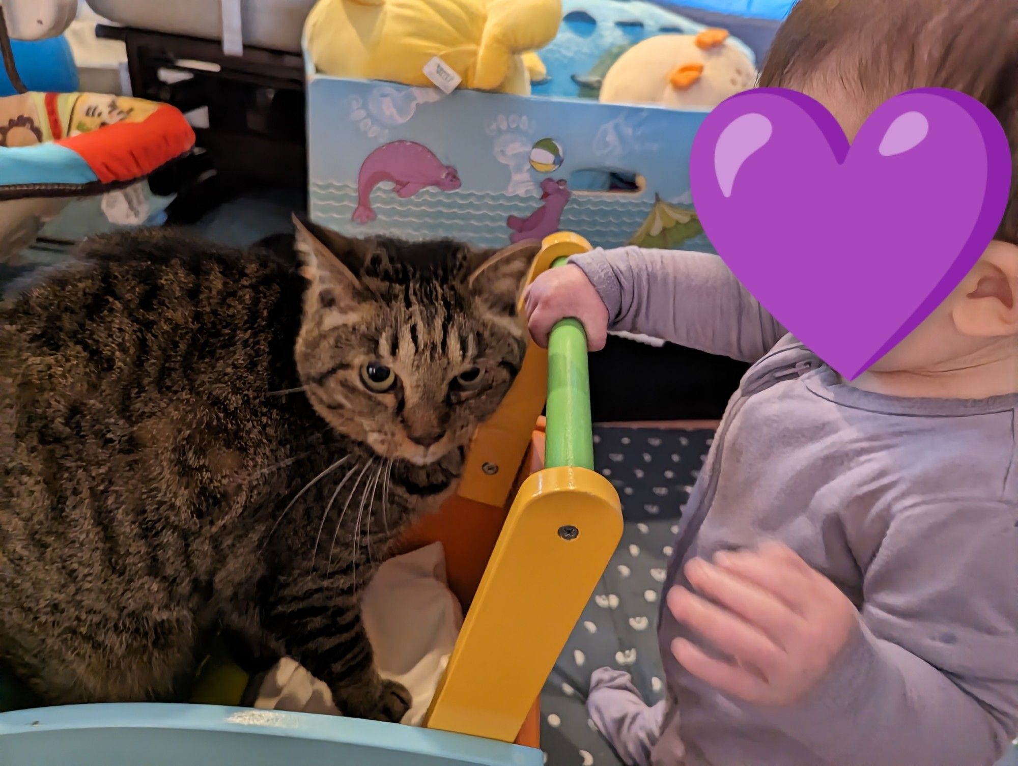 Photo of a baby with dark hair wearing a light purple onesie, with one hand on a colorful small wooden cart. Lady Snuffles (a brown tabby cat) is crouched in the cart, looking a little less than satisfied at this cat moving service.