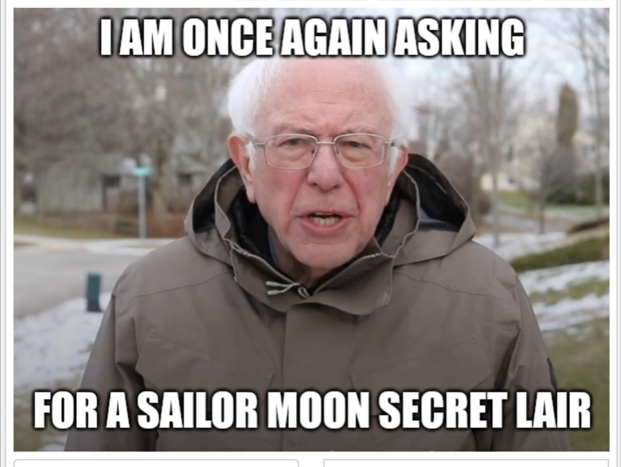 A picture of Senator Bernie Sanders facing the viewer in a winter coat, with text saying: "I am once again asking for a Sailor Moon Secret Lair."