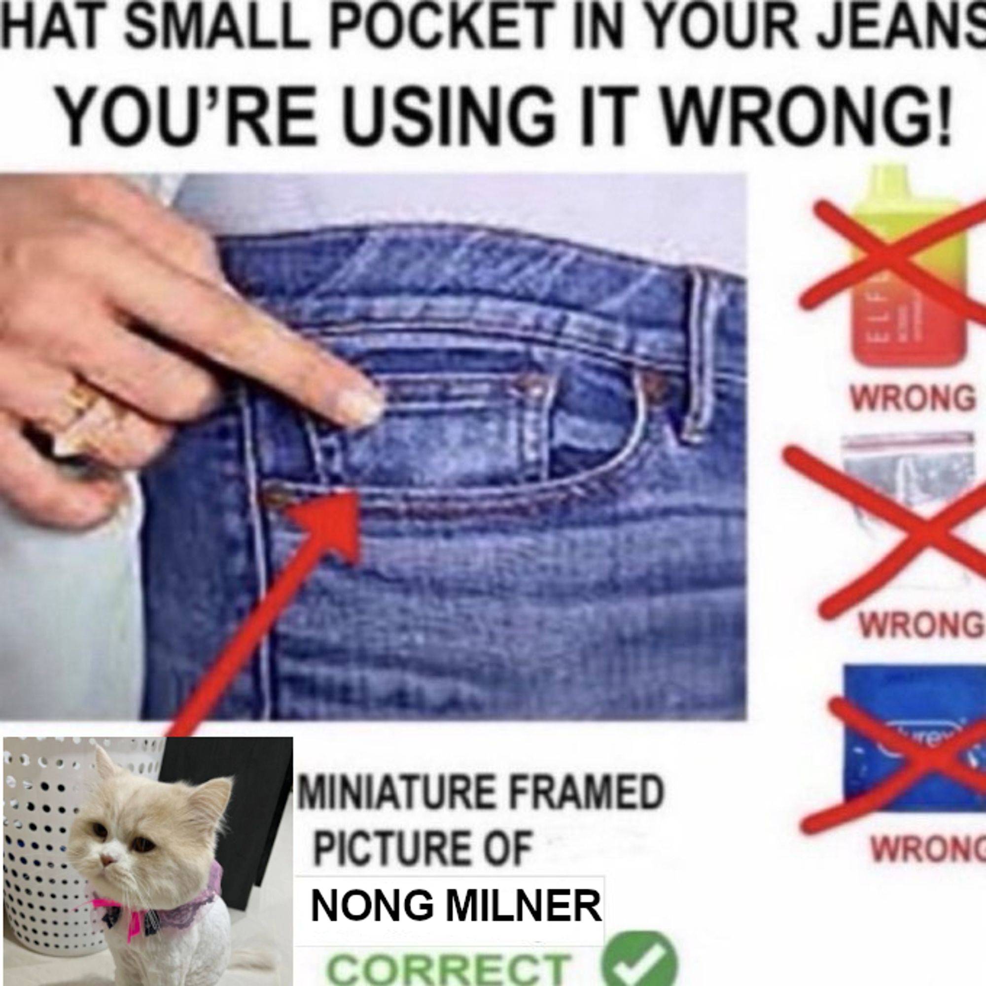 meme of someone pointing to the tiny pocket in a pair of jeans. it says: that small pocket in your jeans, you're using it wrong! i honestly can't make out what the first object with an X over it is, maybe a vape? then a baggie of coke with an X over it, then a durex condom with an X over it. underneath all the things it says WRONG. then at the bottom is a picture of nong milner with a pink, black, and purple lacy collar. the text next to it says "miniture framed picture of nong milner, CORRECT" with a green checkmark next to it and an arrow pointing to the little jeans pocket.