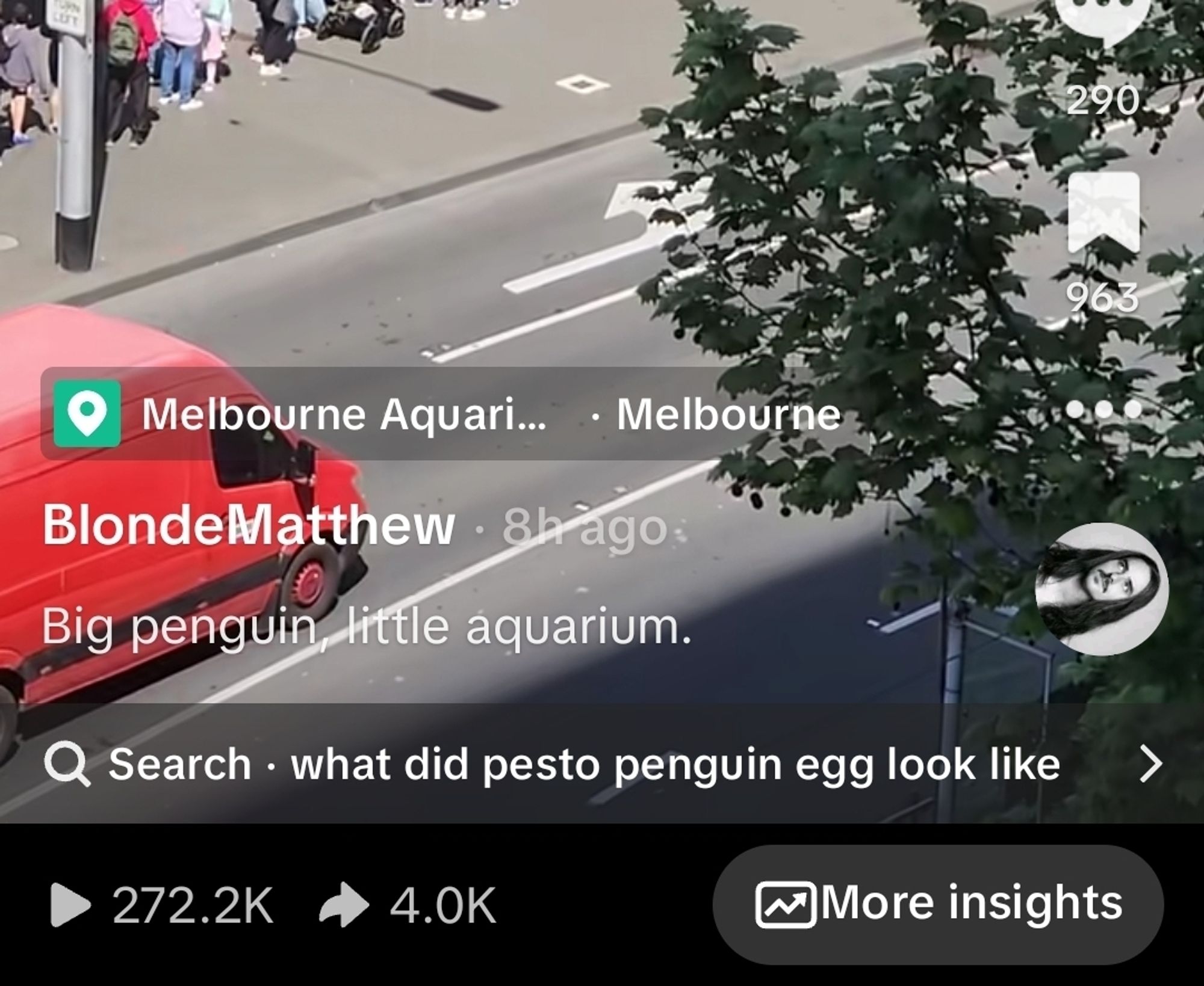 Screenshot of tiktok. Suggested search "what did pesto penguin egg look like"