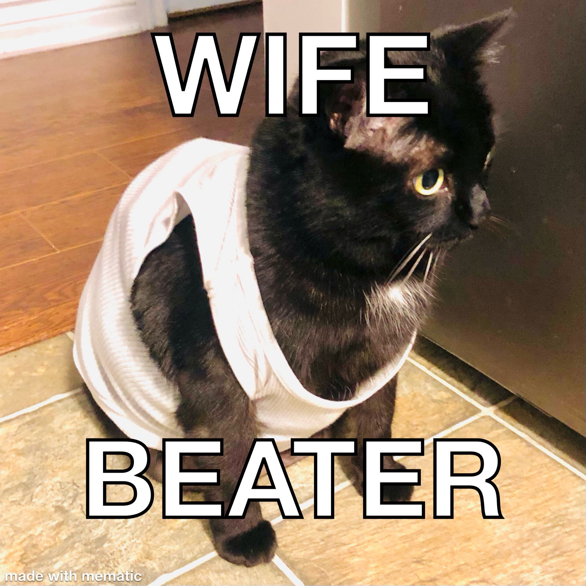 3/4 view of cat with wife-beater tank top on, with the text overlay saying “WIFE BEATER”