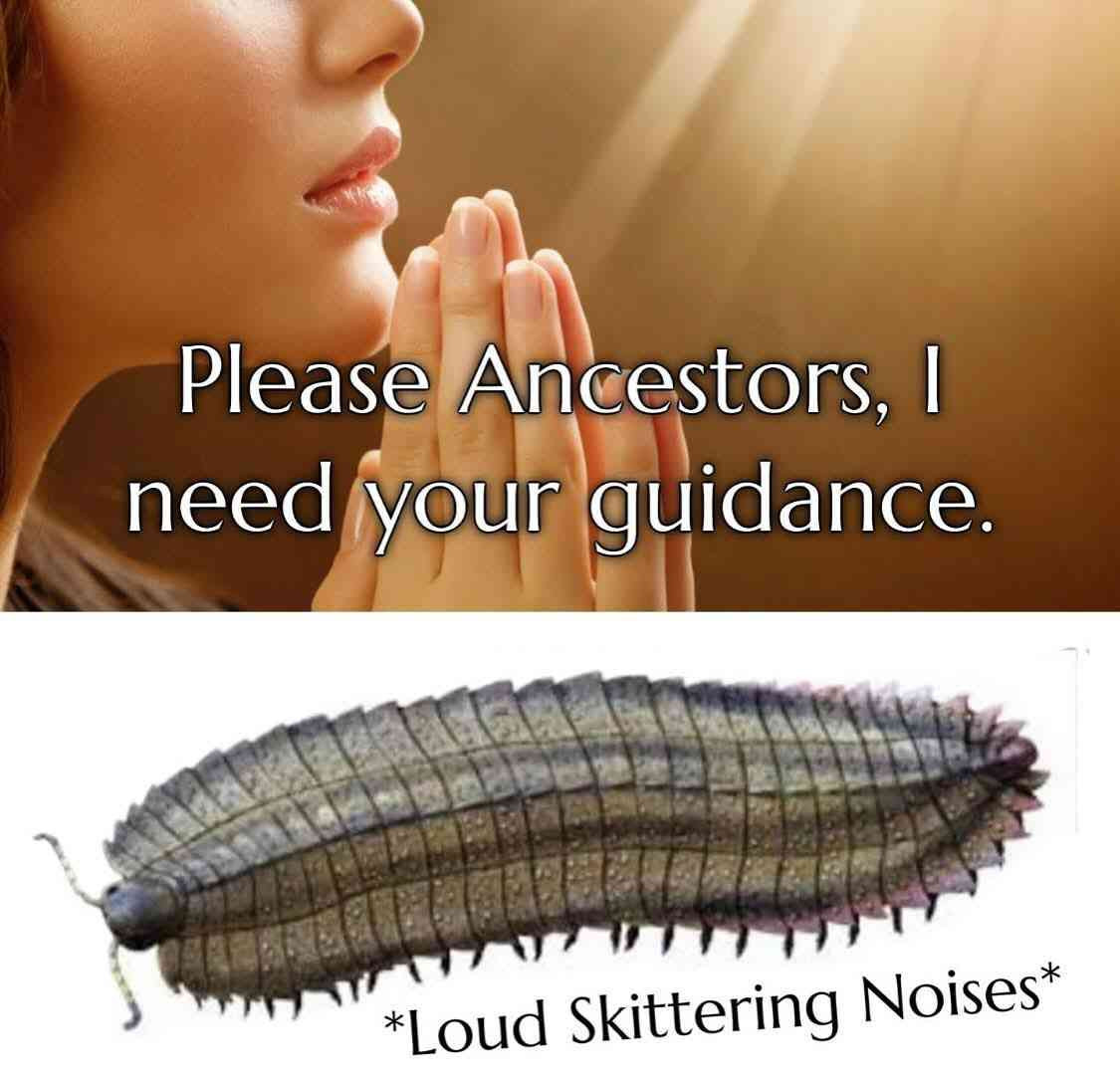 Please Ancestors, I need your guidance.

*arthropleura*
*Loud Skittering Noises*