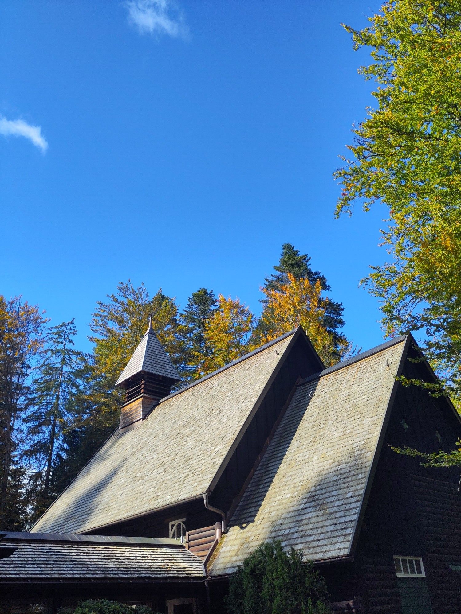 Waldfriedhof Altensteig.