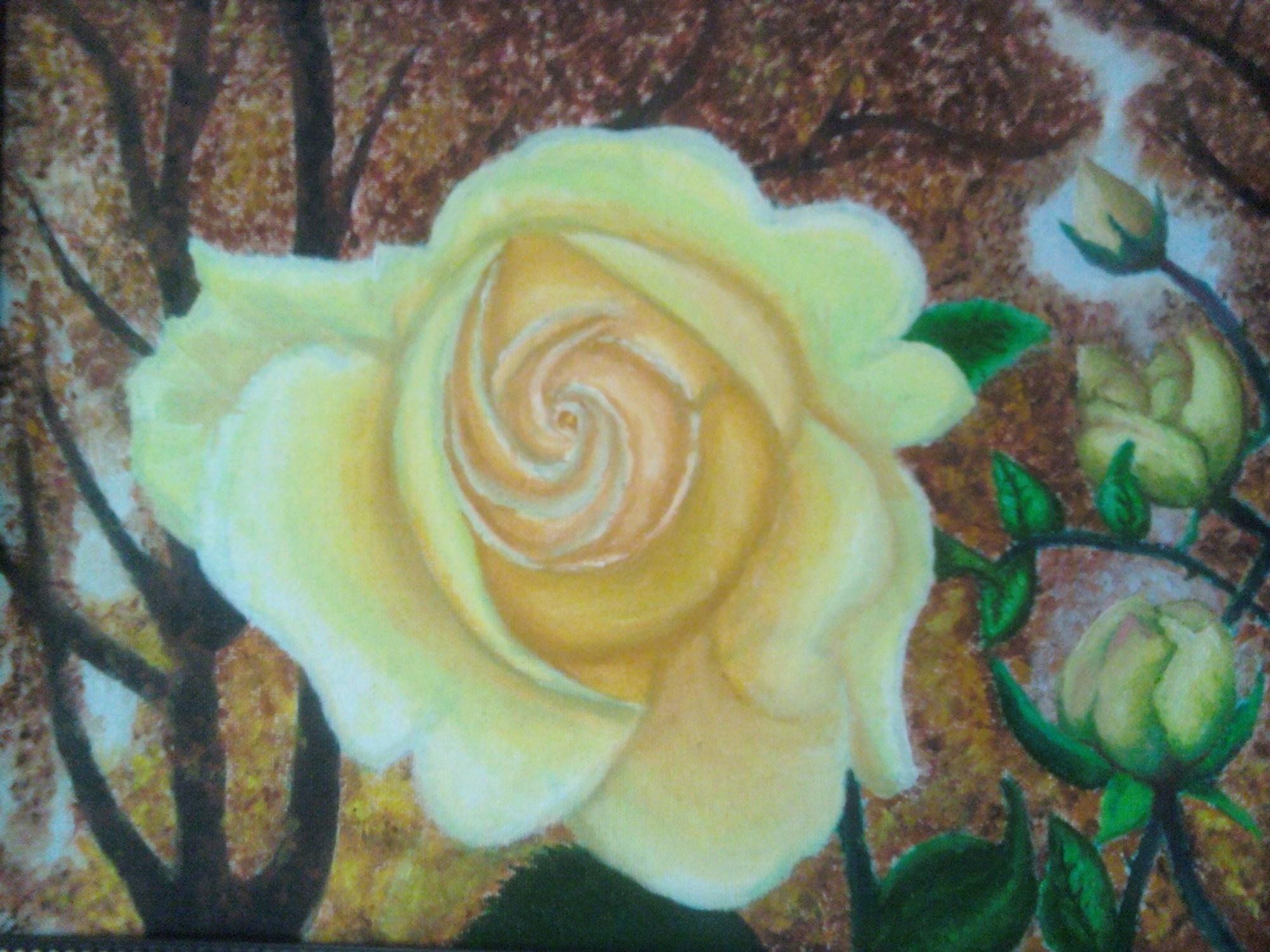 Close up of a yellow rose against a fall background