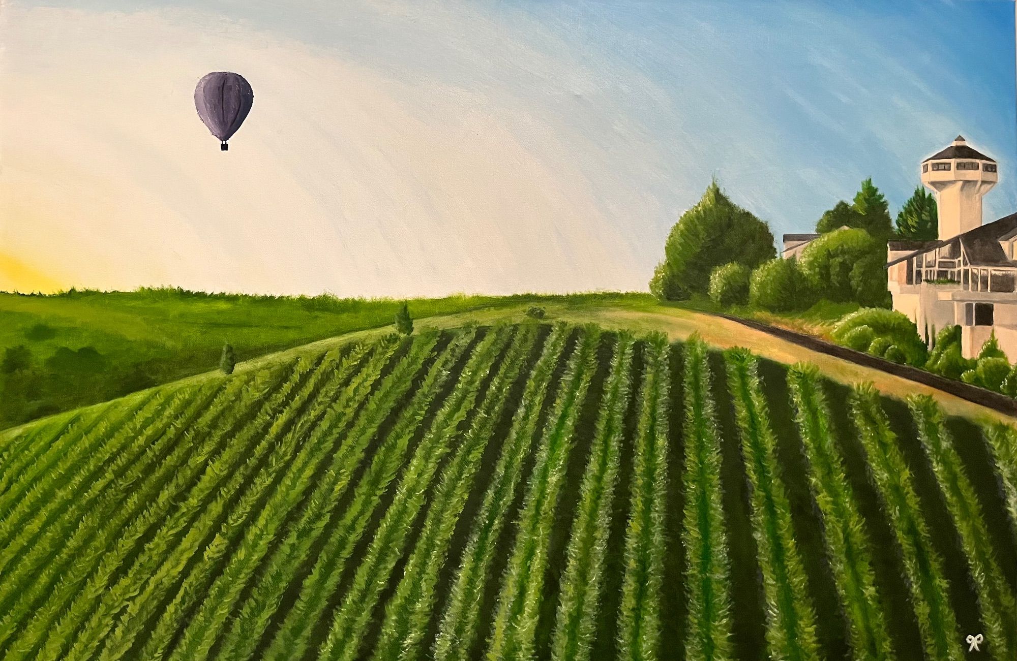 Vineyard at sunset with a hot air balloon in the distance