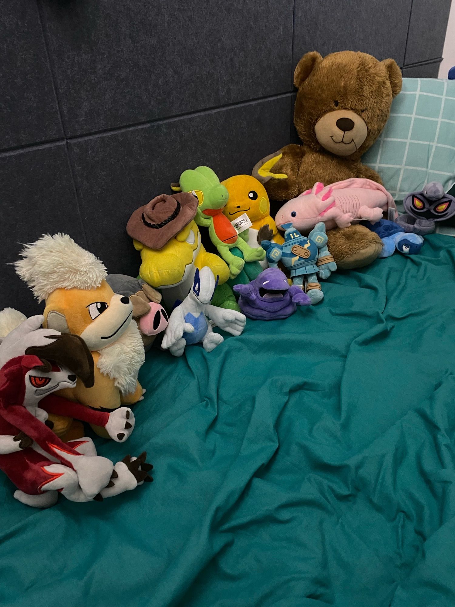 Plushies sitting in a line. From left to right: Midnight Lycanroc, Growlithe, Lechonk, Lugia, Gummigoo, Muk, Treecko, Golurk, Raichu, Axolotl, Big teddy bear, Tirtouga, Arbok