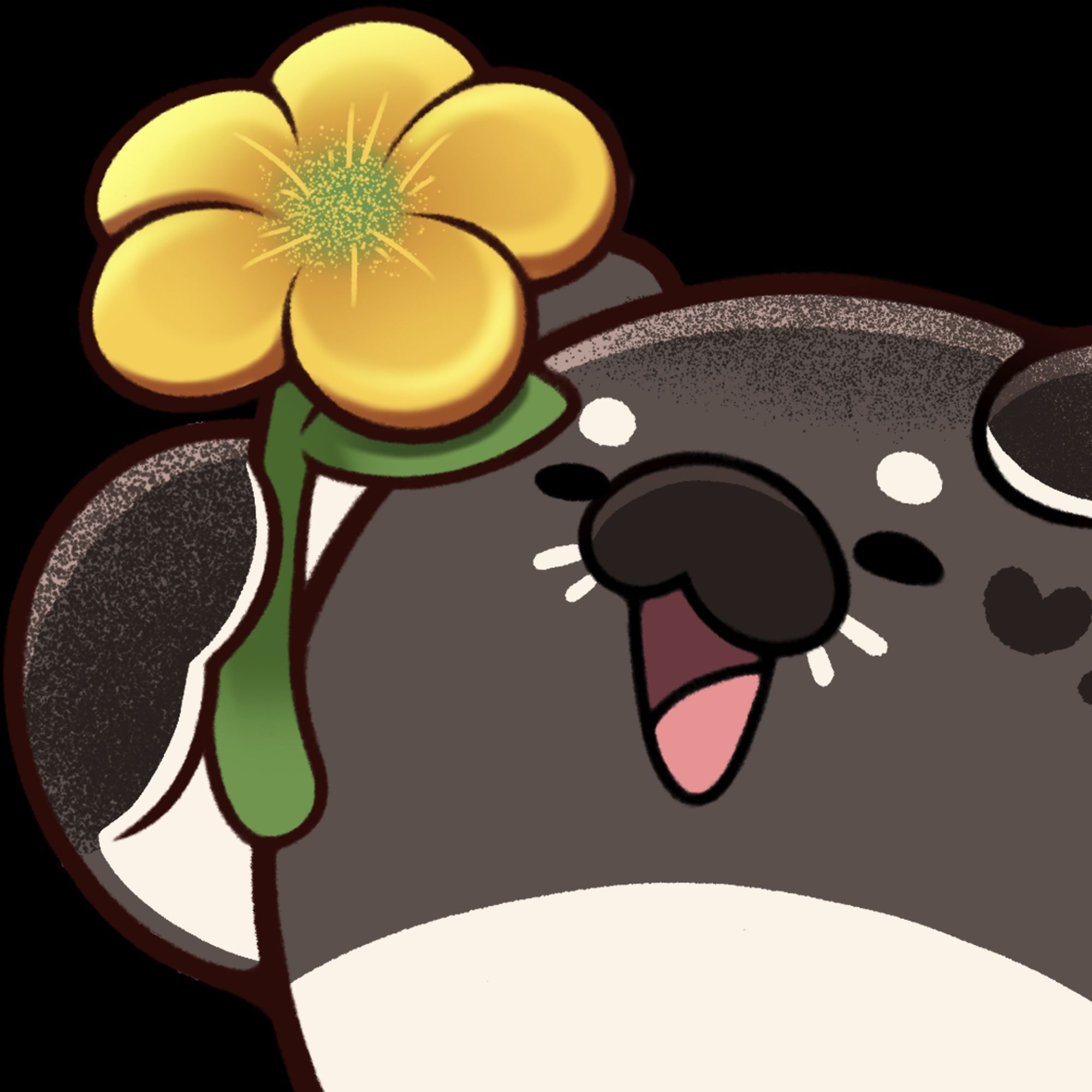 A seal holding a buttercup with its mouth wide open, offering it to the viewer.